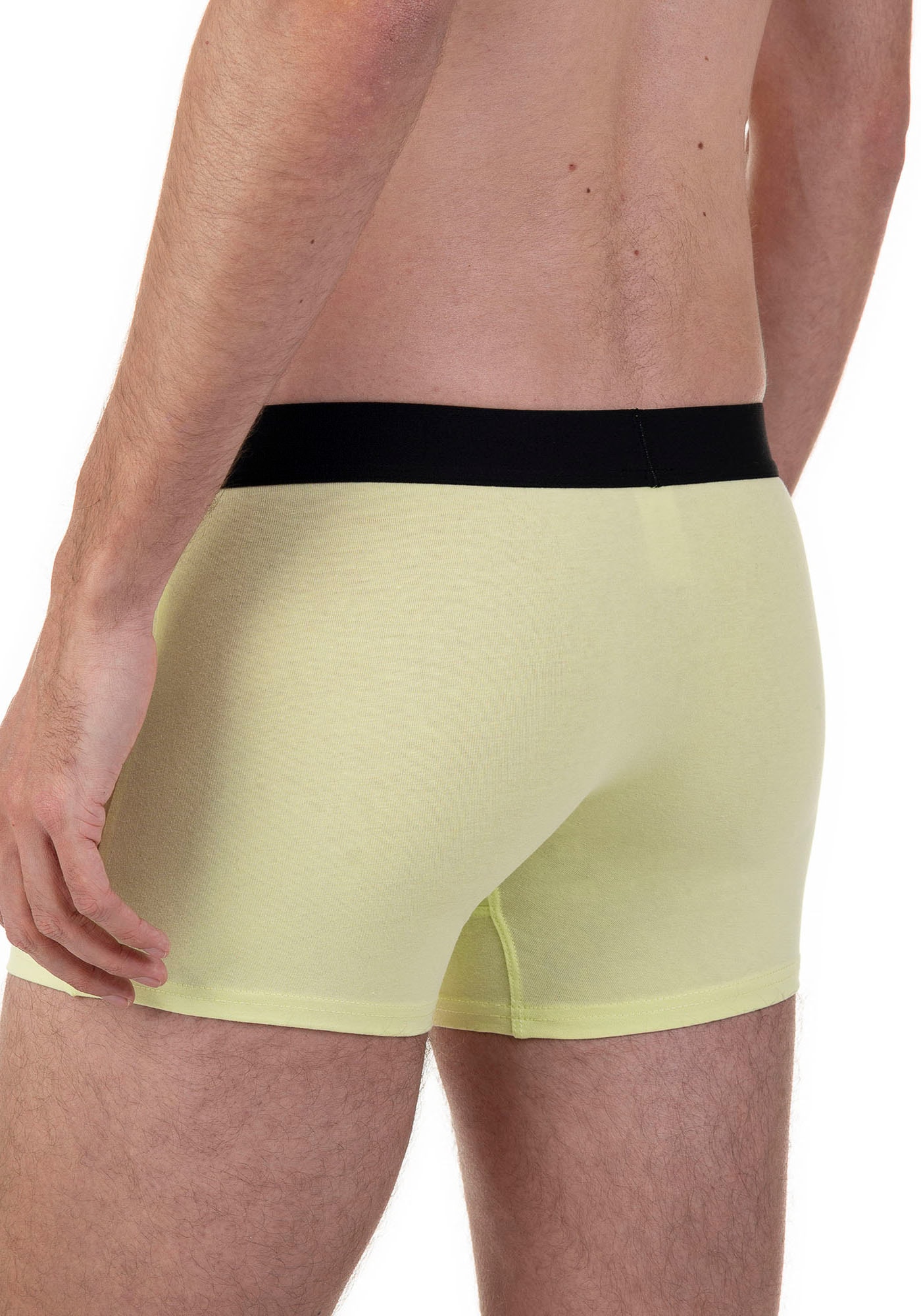 Bruno Banani Boxer, (2er Pack), mit kontrastreichem Logobund