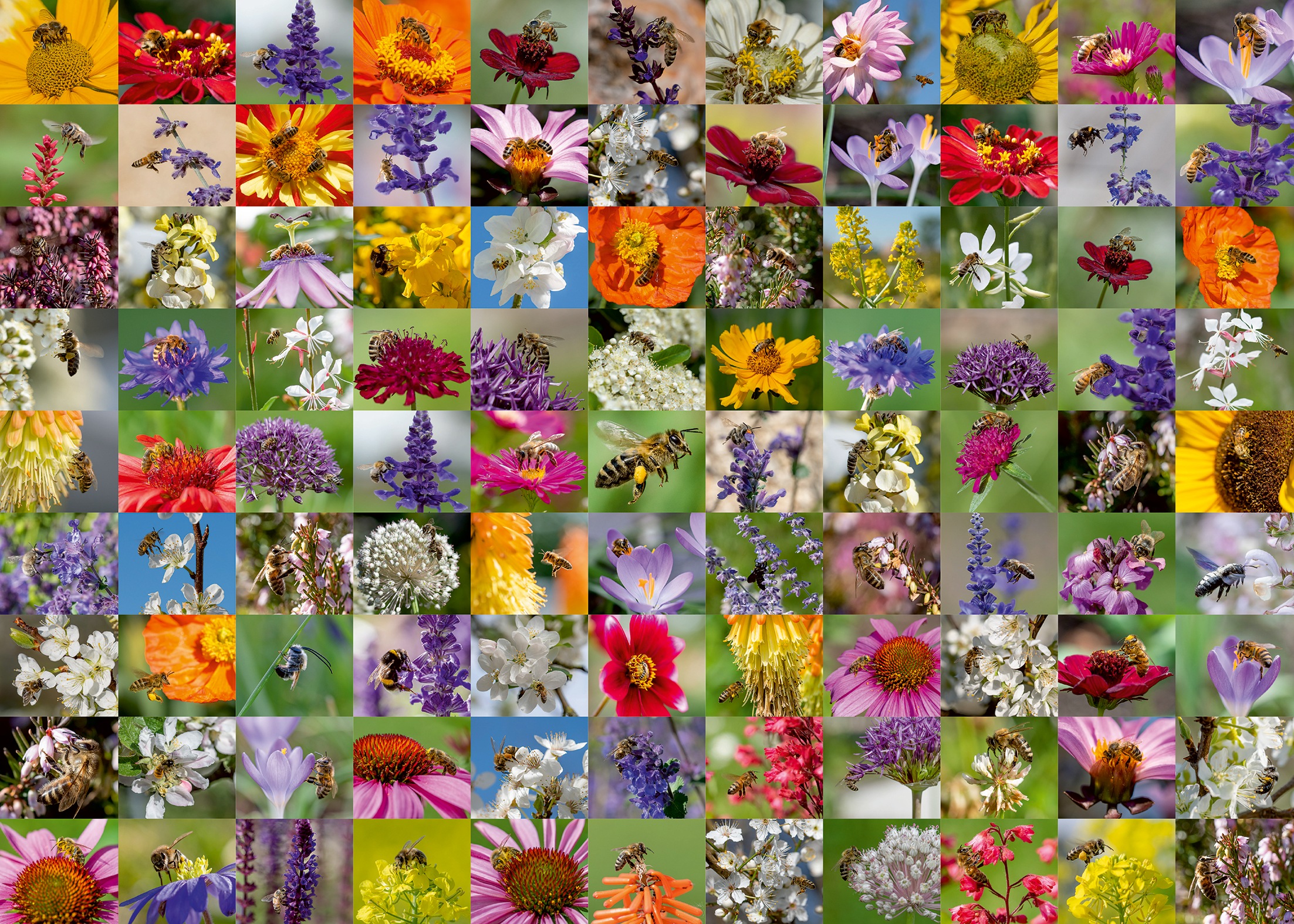 Ravensburger Puzzle »99 Bienen«, Made in Germany