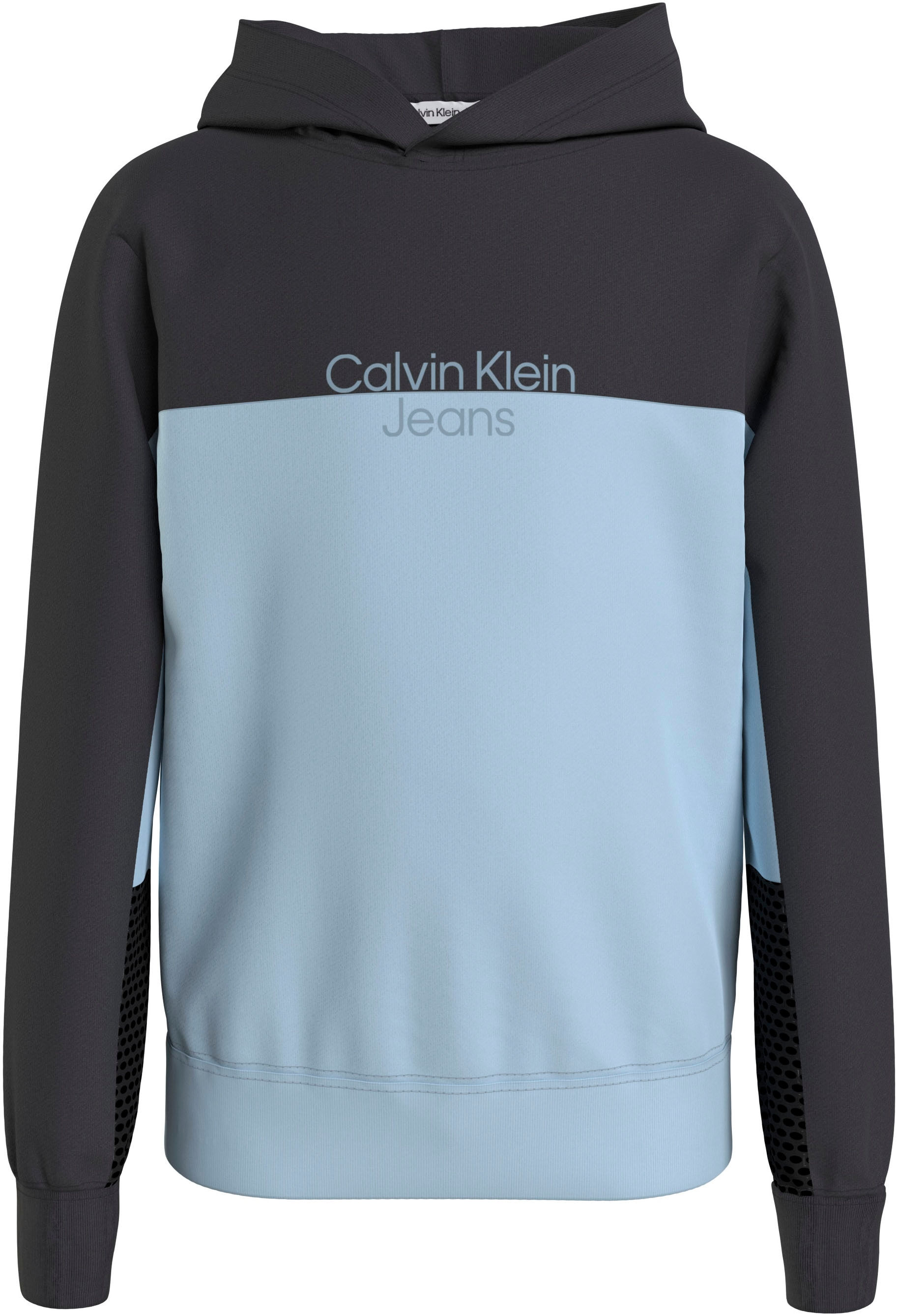 Calvin Klein Jahre »TERRY BAUR REG. Jeans bis COLOR | Kinder Sweatshirt 16 für HOODIE«, BLOCK bestellen