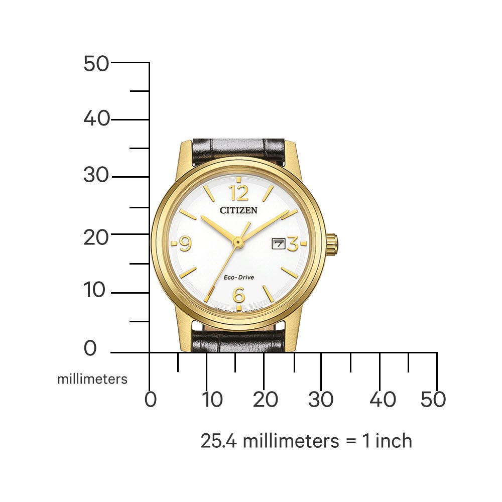 Citizen Solaruhr, Armbanduhr, Damenuhr, Lederarmband, analog, Datum, Eco-Drive