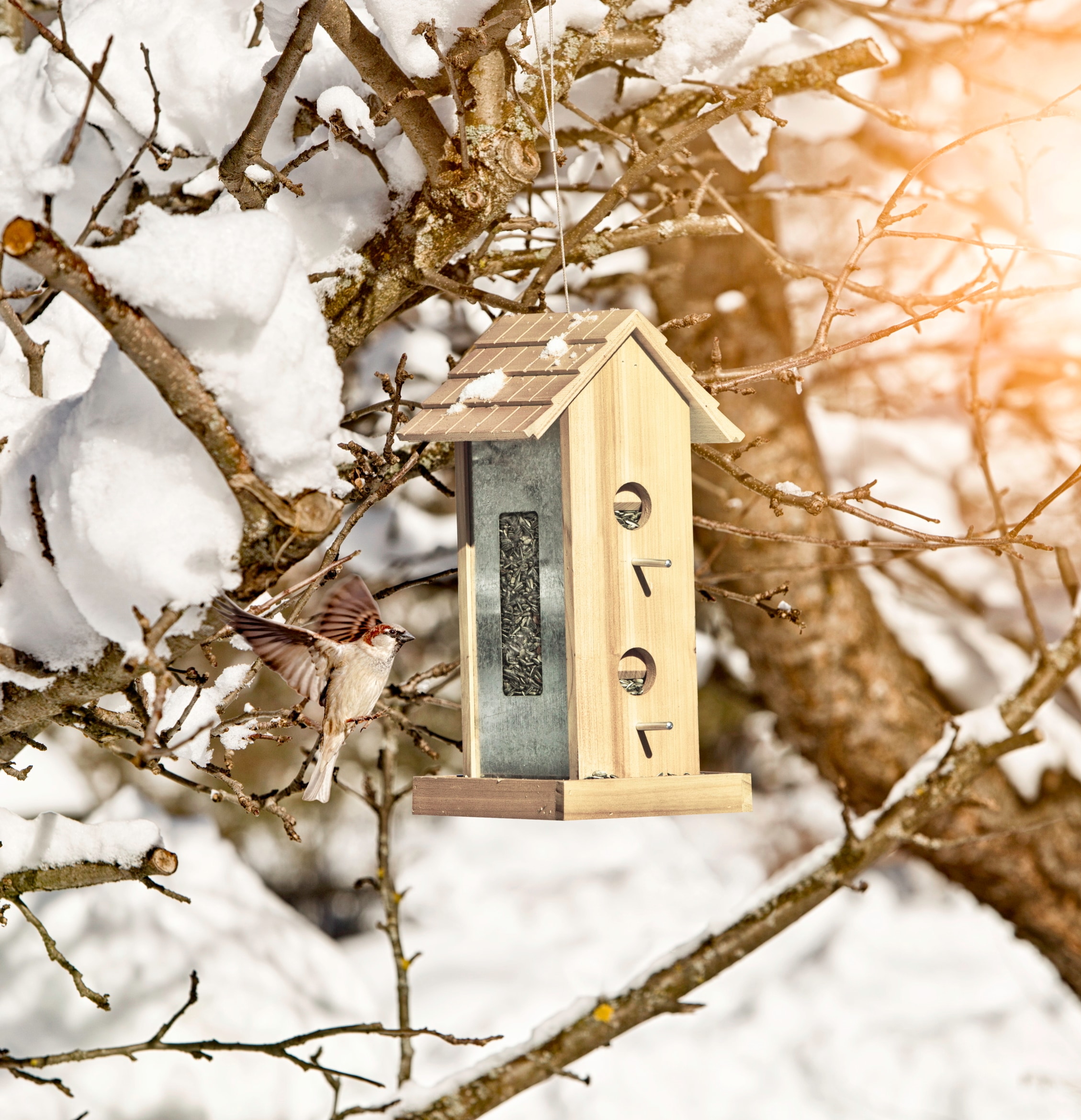 Windhager Vogelhaus »Country« BxTxH: 17,5x19x39 cm