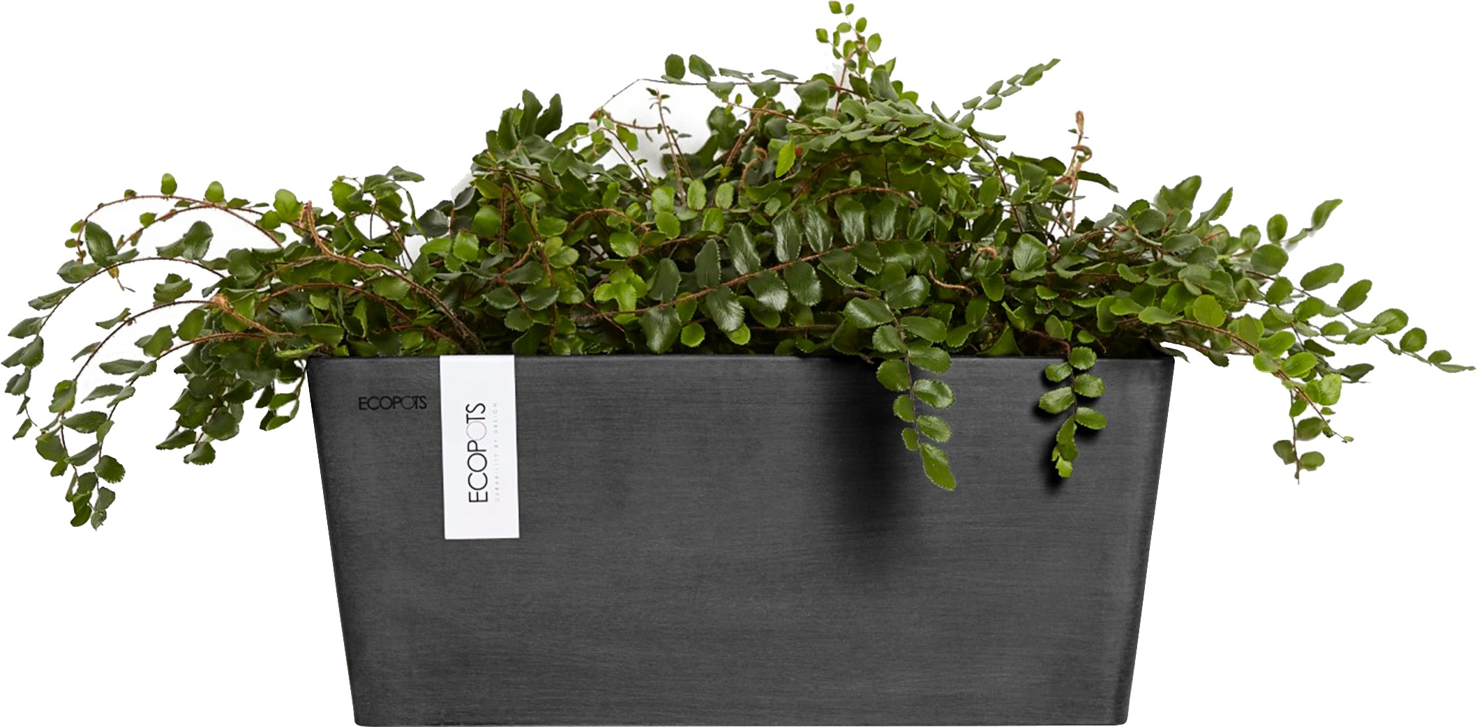 ECOPOTS Blumentopf »Manhattan Wall 35 Dunkelgrau«, für innen und außen: frostsicher, bruchsicher und lichtbeständig