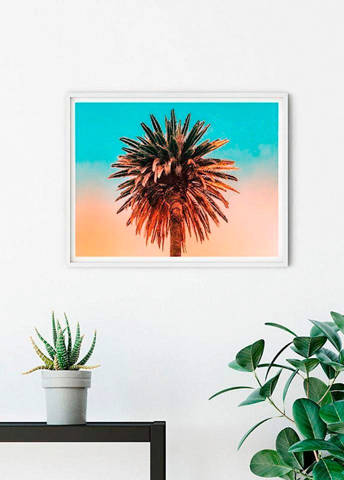 Komar Bild »Palm Tree«, Pflanzen-Blätter, (1 St.), Wandbild zur Dekoration - ohne Rahmen