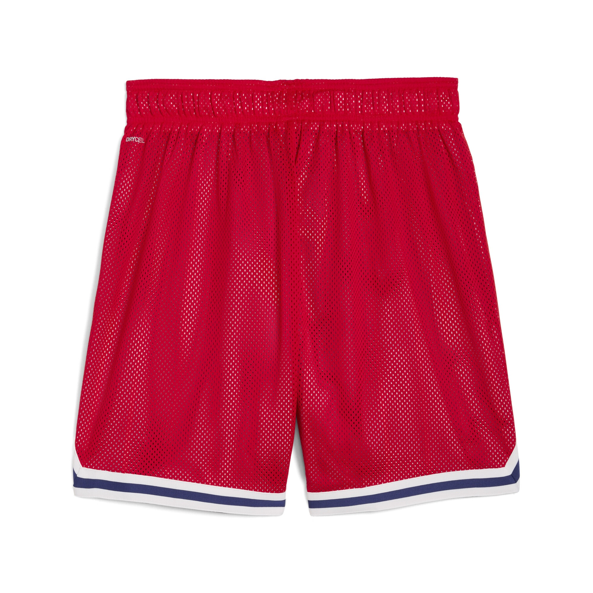 PUMA Shorts »PUMA HOOPS x FC Red Bull Salzburg Shorts Herren«