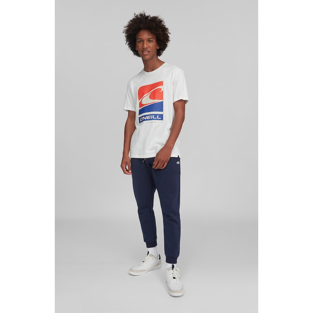 O'Neill T-Shirt »Flag Wave Ss T-Shirt«