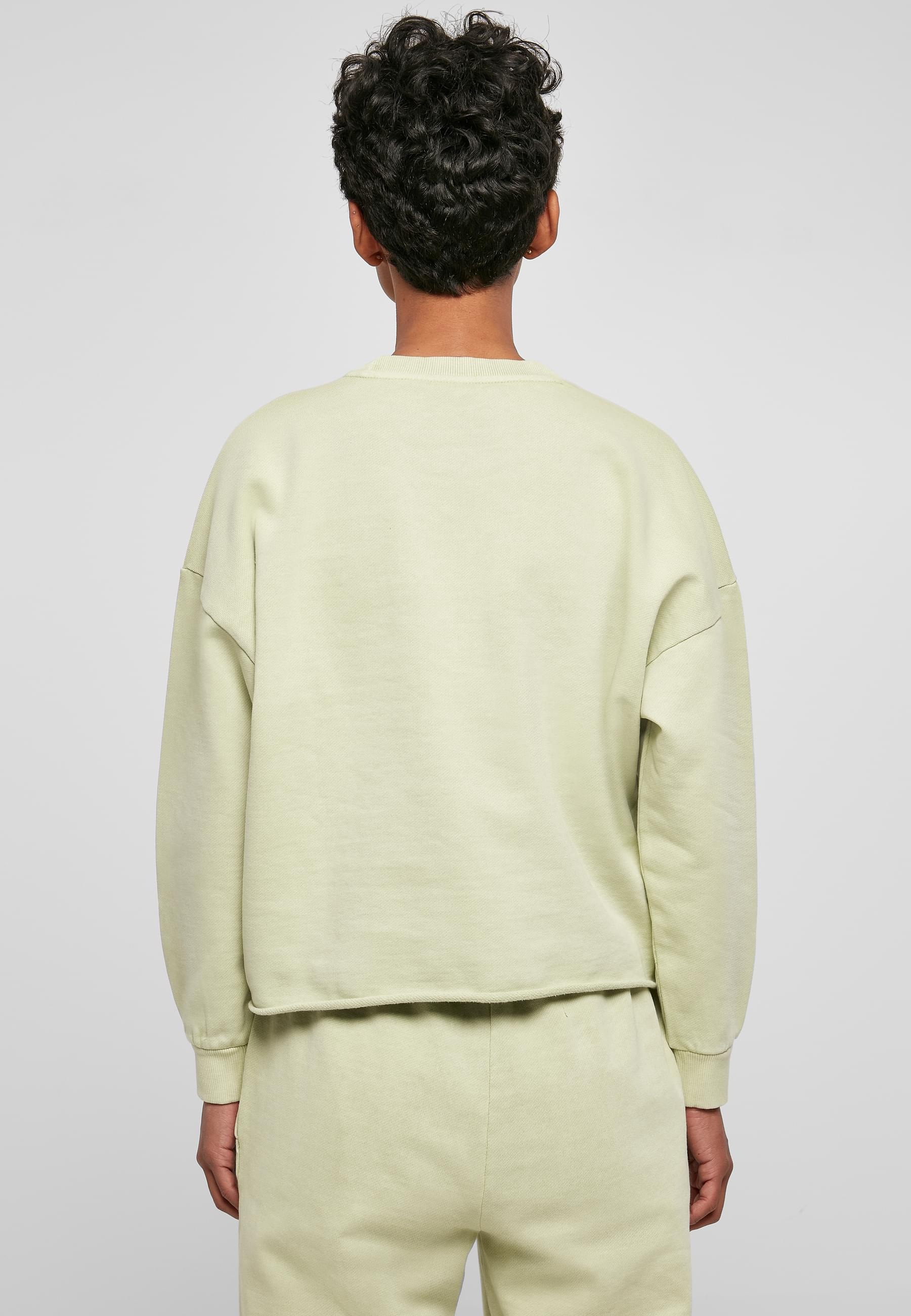 Karl Kani Sweatshirt »Karl Kani Damen KW222-052-1 Signature Washed Crew«, (1 tlg.)