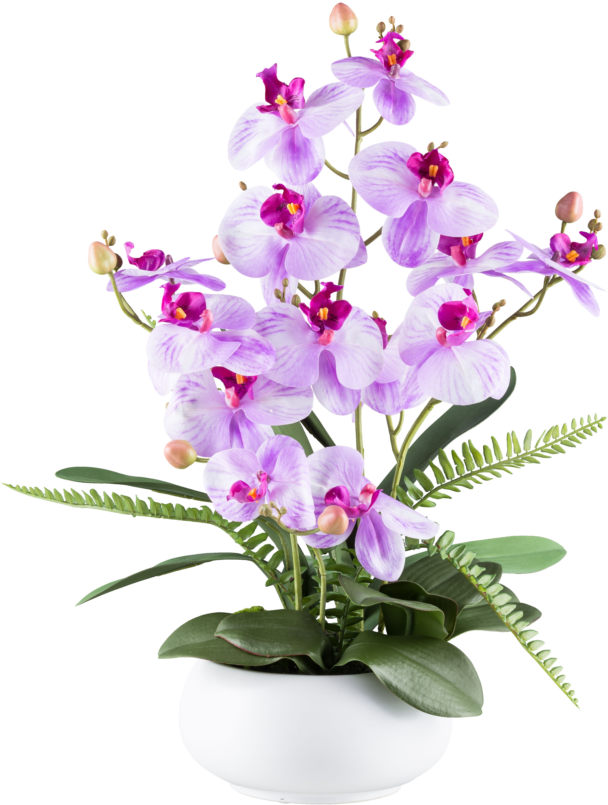 Creativ green Kunstorchidee "Orchidee Phalaenopsis", mit Farnzweigen