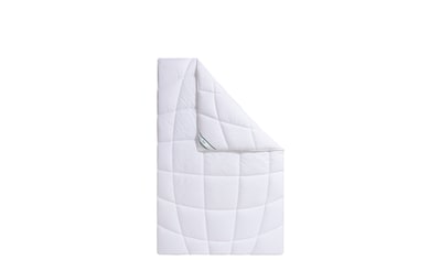f.a.n. Schlafkomfort Microfaserbettdecke »kuschelige Bettdecke Komfort Plus XXL-Warm... kaufen