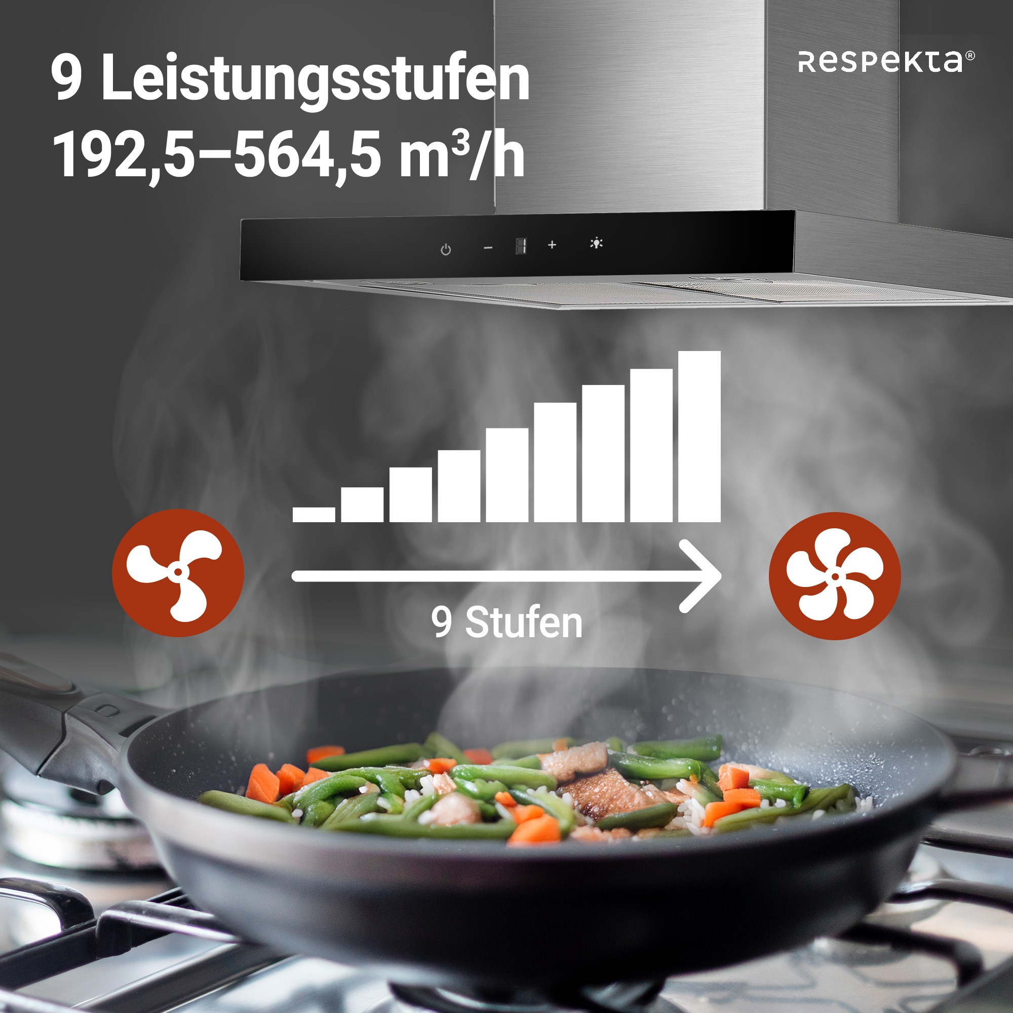 RESPEKTA Kaminhaube »190030006002-20«, Serie Sira