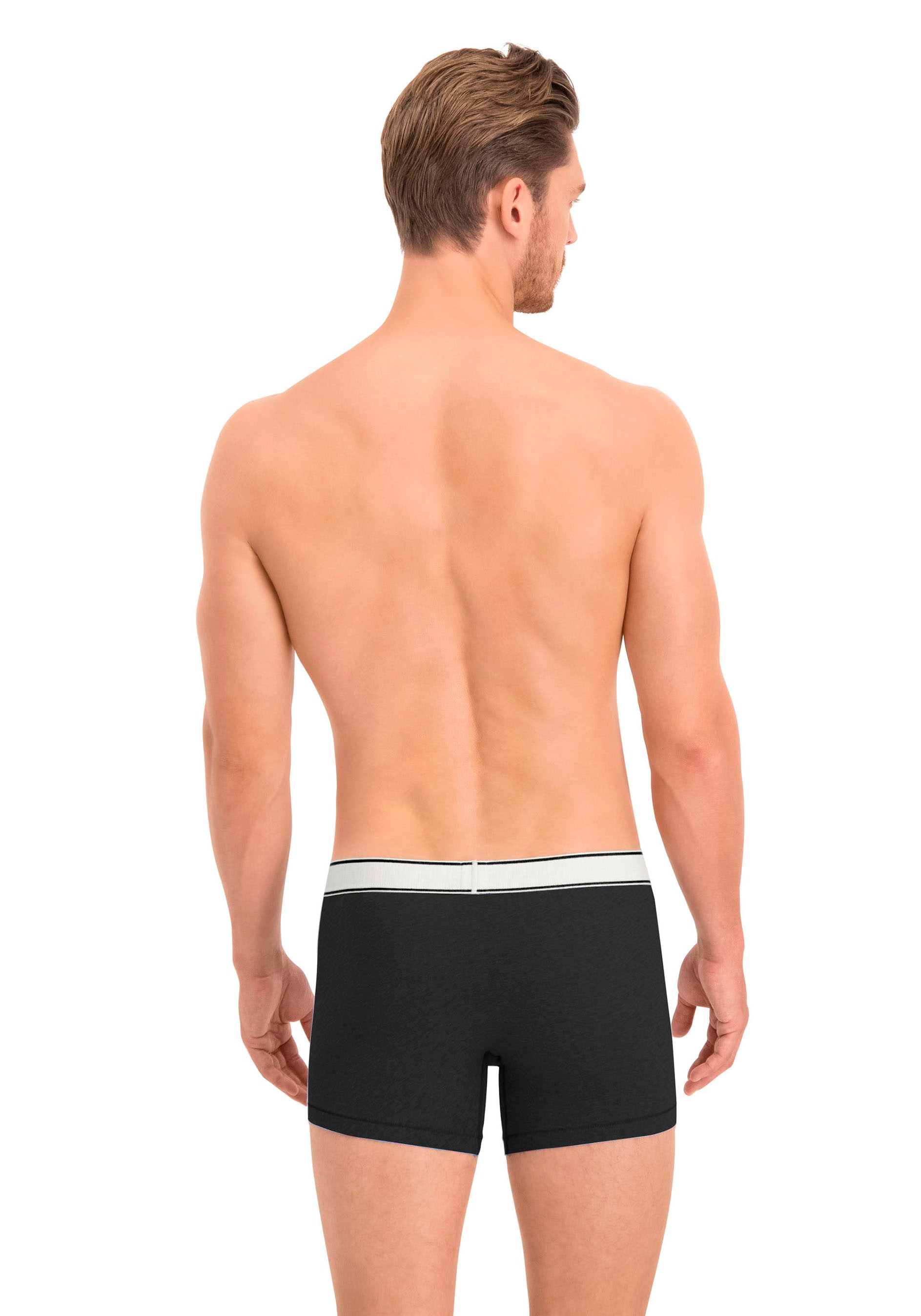 Levi's® Boxershorts »LEVIS MEN VNTG HTR BOXER BRIEF ORG CO 2P«, (2er Pack), mit breitem Logobund