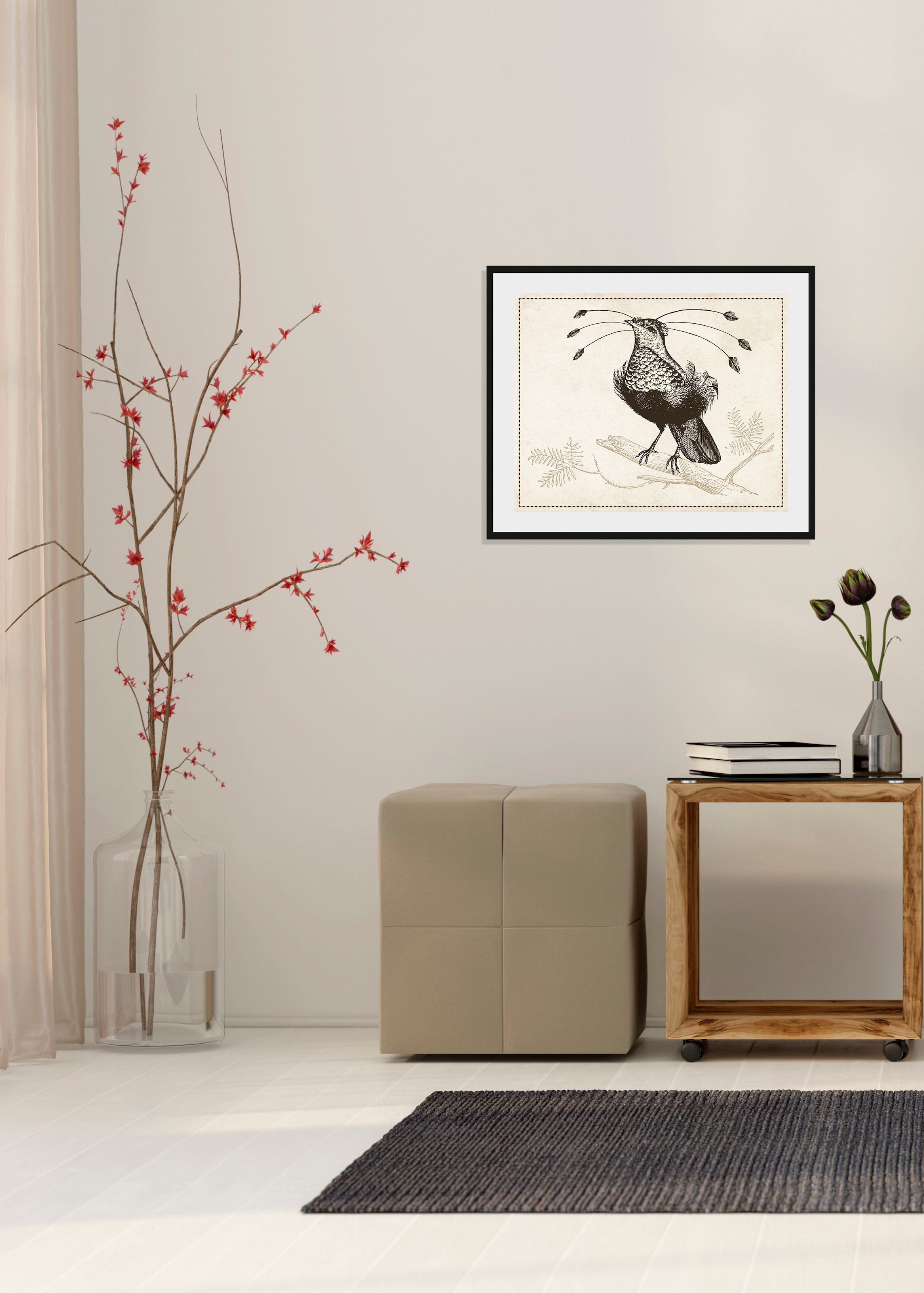 queence Bild "Ann-Sophie", Vögel-Vogelbilder-historische Ereignisse-Kunst, günstig online kaufen