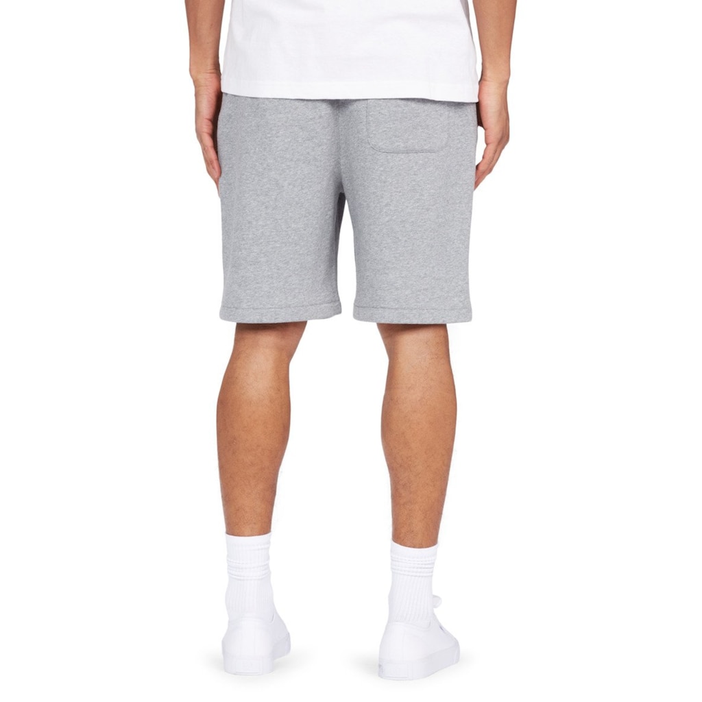 DC Shoes Sweatshorts »Riot«