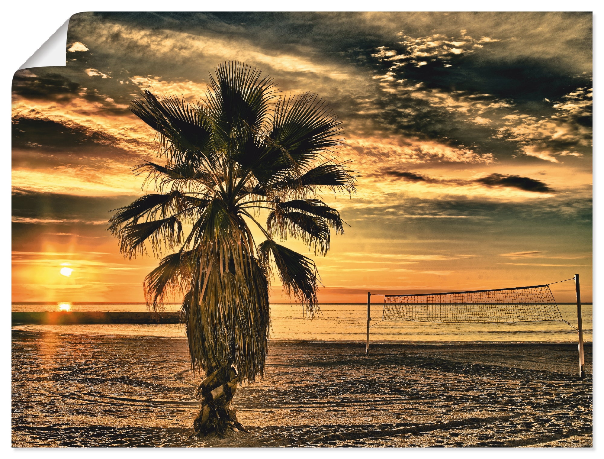 Sonnenuntergang«, -untergang, oder Größen Friday Artland als »Palme | & St.), versch. Leinwandbild, bei (1 Alubild, Black BAUR Wandaufkleber Wandbild Sonnenaufgang Poster in