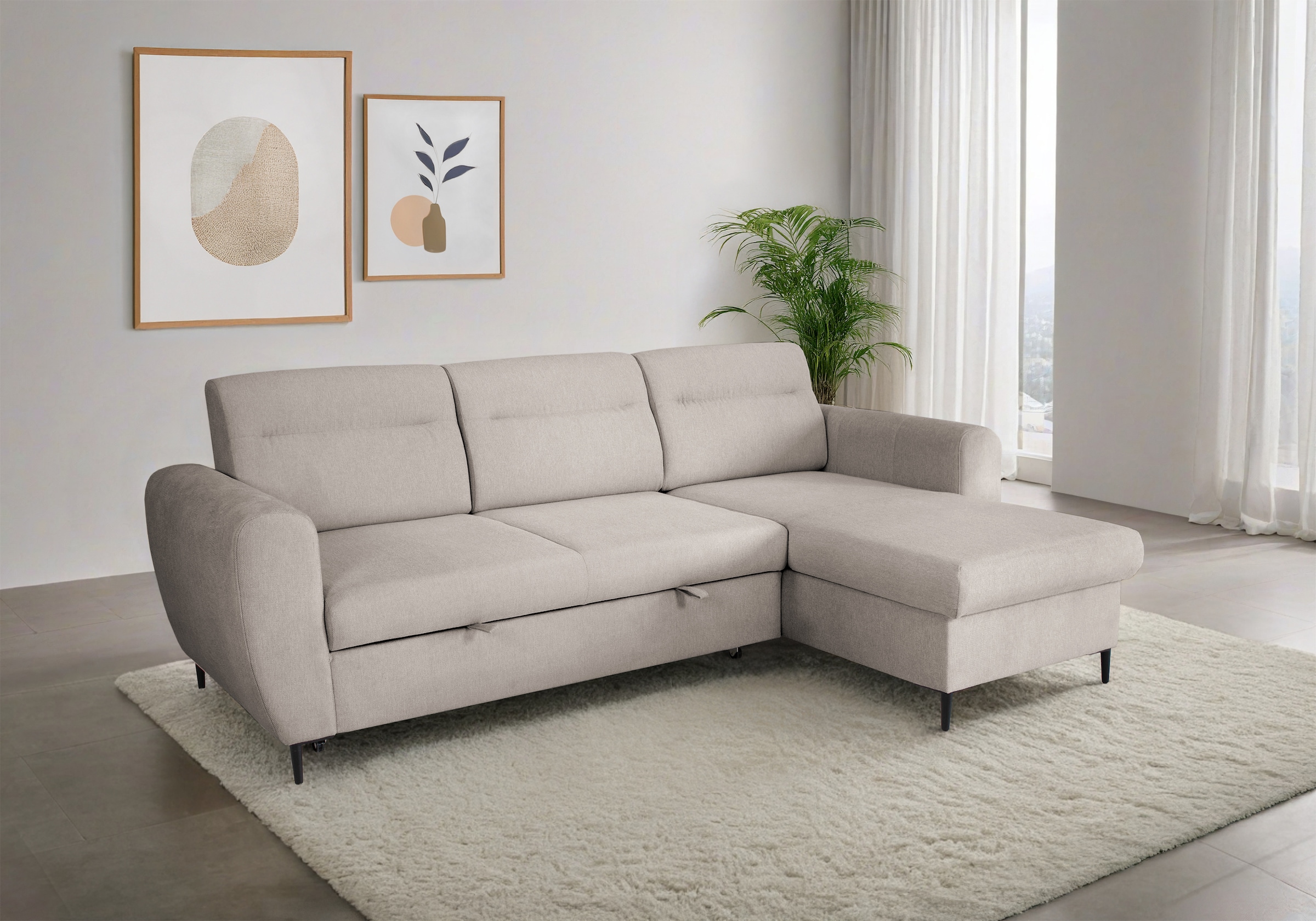 Trends by HG Ecksofa "Bella L-Form, B: 248 cm" mit Schlaffunktion & Bettkasten