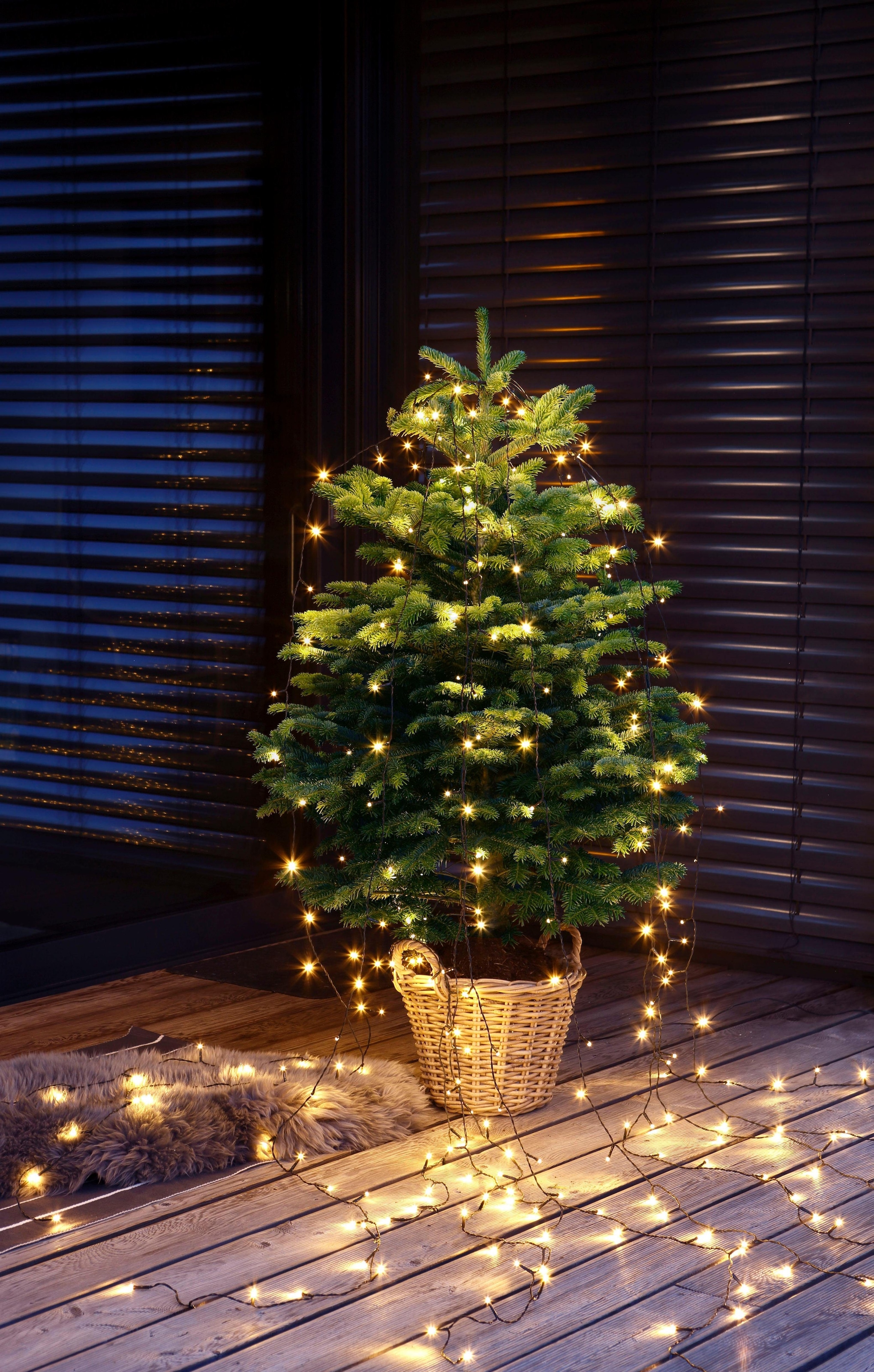 Weihnachtsbaumland Echter Weihnachtsbaum »Echte Nordmanntanne zum Einpflanzen, Weihnachtsdeko aussen«, im Topf gewachsen