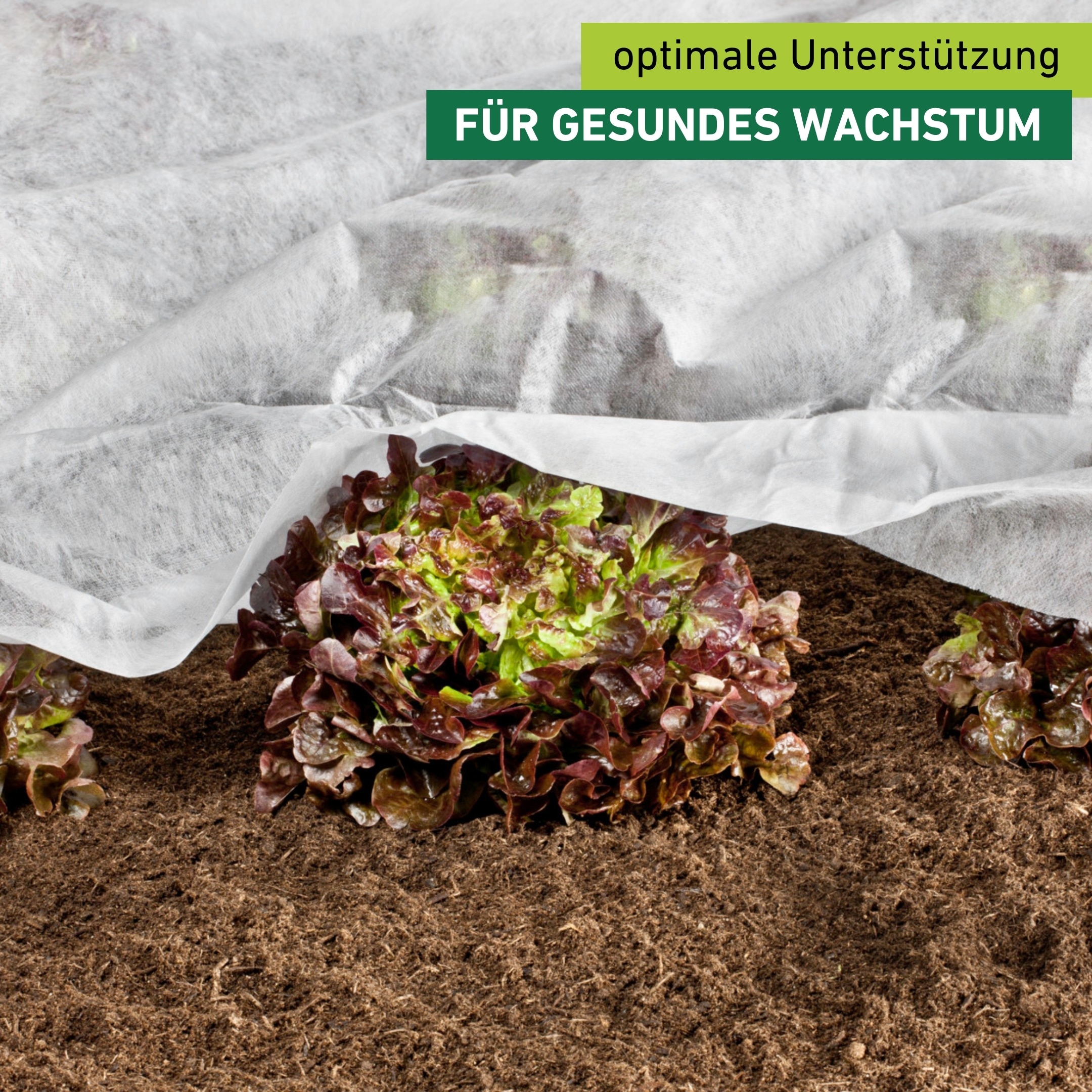 Windhager Gartenvlies »für Hoch-, Freilandbeete, ÖKO Wachstumsvlies zur Anzucht von Pflanzen« 1 Stk. tlg. erhältlich in 5 x 1,5 m oder 10 x 1,5 m, 18 g/m², weiß
