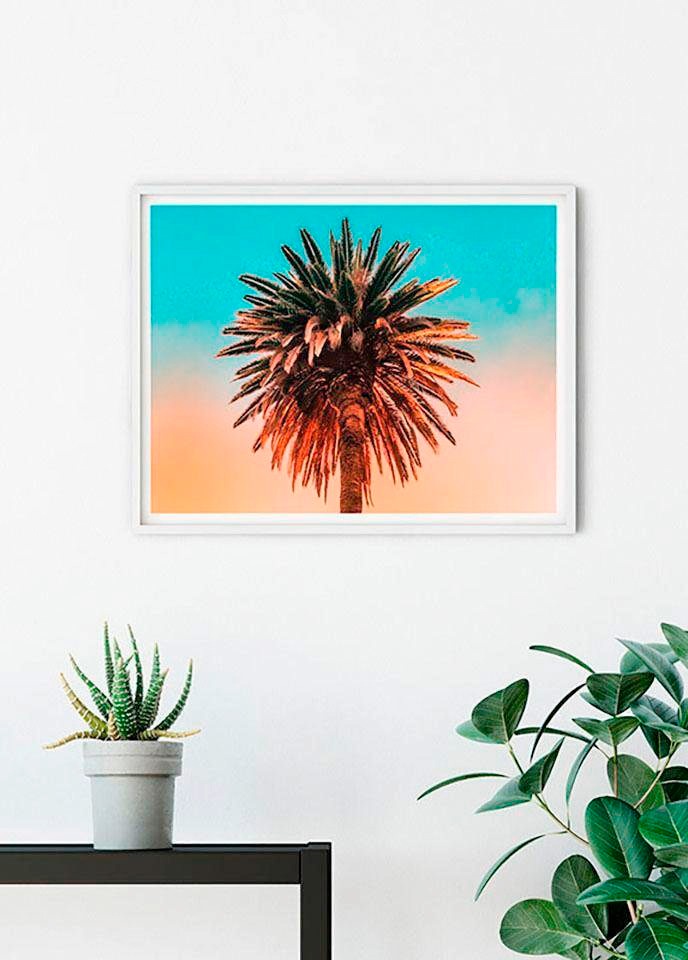 Komar Poster »Palm Tree«, Pflanzen-Blätter, (1 St.), Kinderzimmer,  Schlafzimmer, Wohnzimmer | BAUR