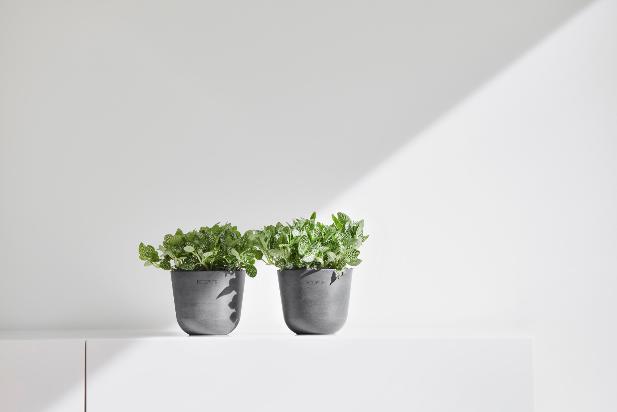 ECOPOTS Blumentopf »Oslo Mini 11,5 Grau« für den Innenbereich