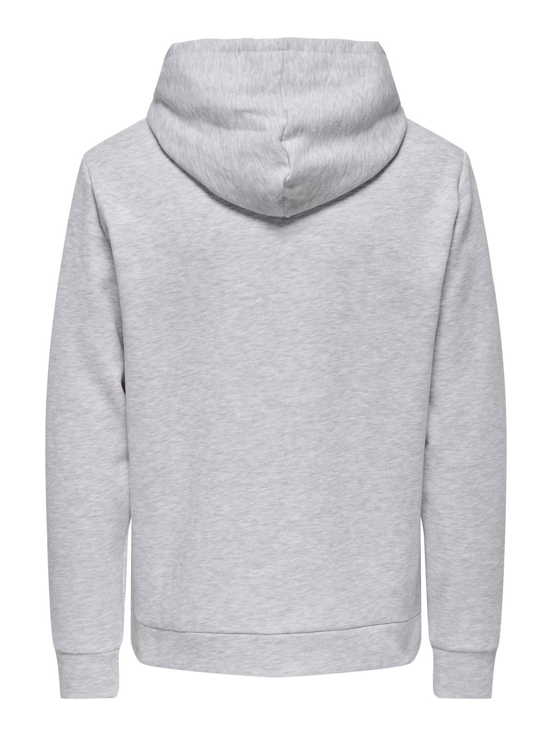ONLY & SONS Kapuzensweatshirt "ONSCHASE REG HOOD SWEAT OTL" günstig online kaufen