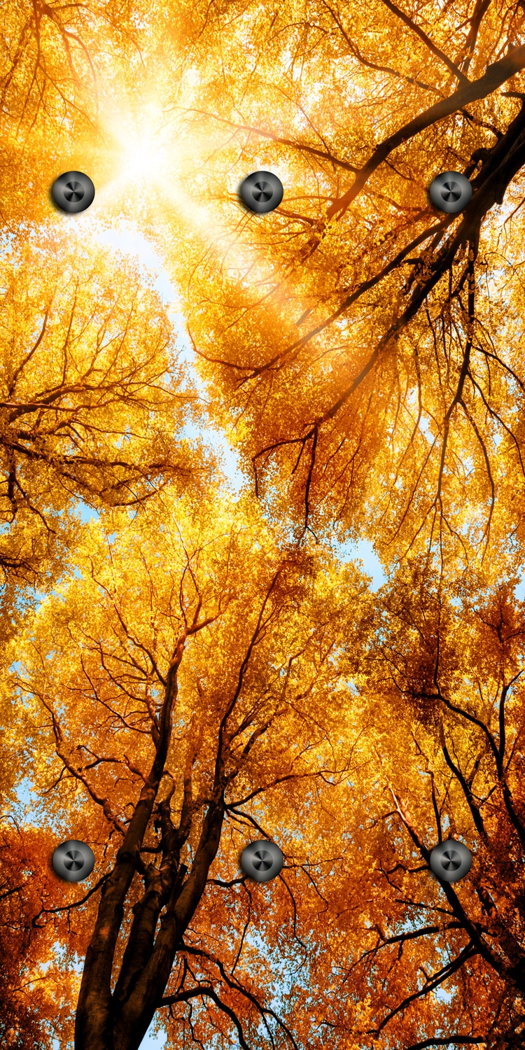 queence Wandgarderobe "Herbst Sonnenaufgang im Wald" 1 Stk. tlg. Wandpaneel günstig online kaufen