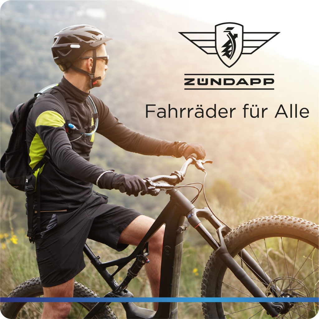 Zündapp E-Bike »X100«, 9 Gang, Shimano, Sora, Mittelmotor 250 W, Pedelec, Elektrofahrrad für Damen u. Herren