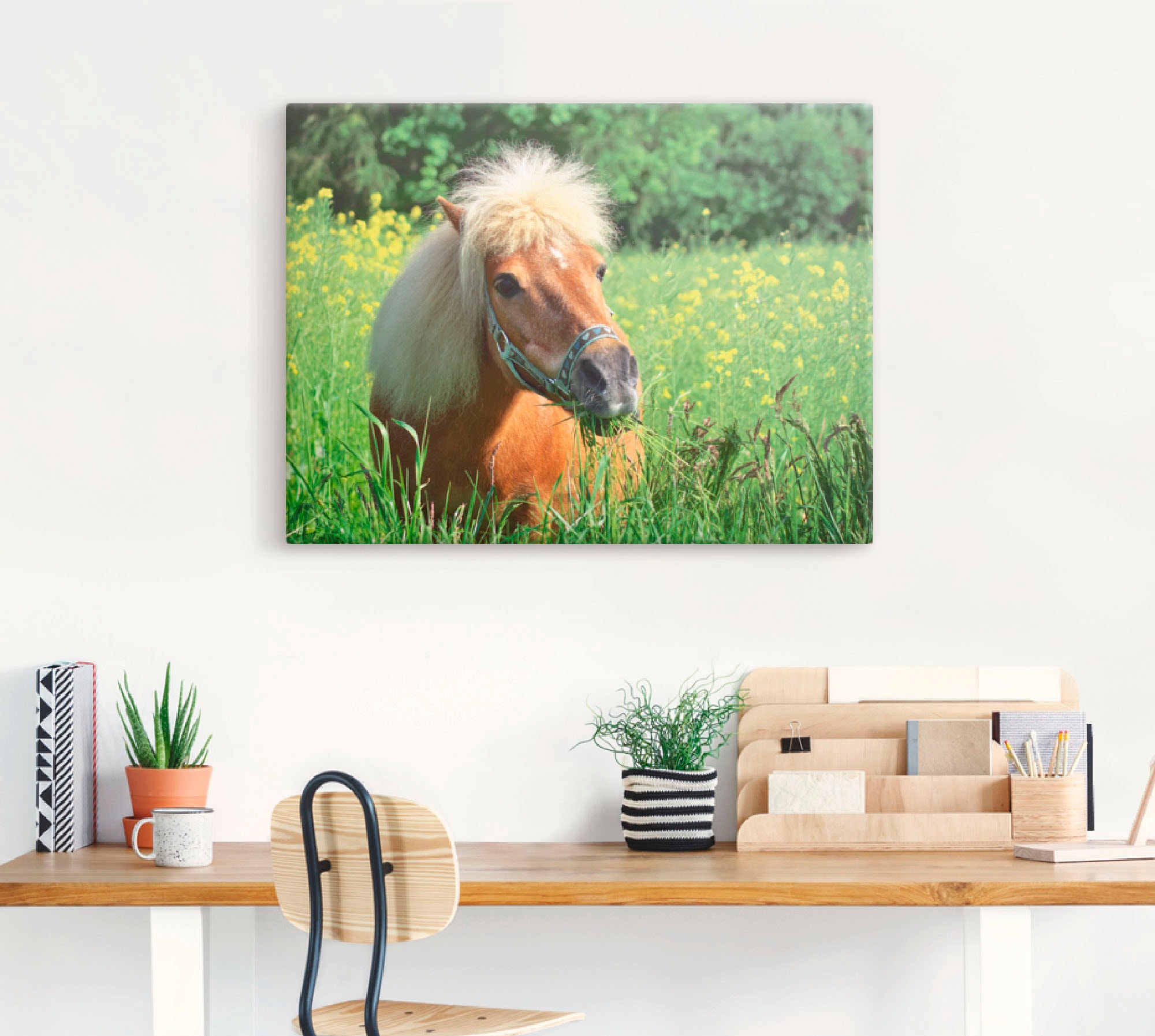 Artland Wandbild »Shetland Pony«, Haustiere, (1 St.), als Leinwandbild, Wandaufkleber in verschied. Größen