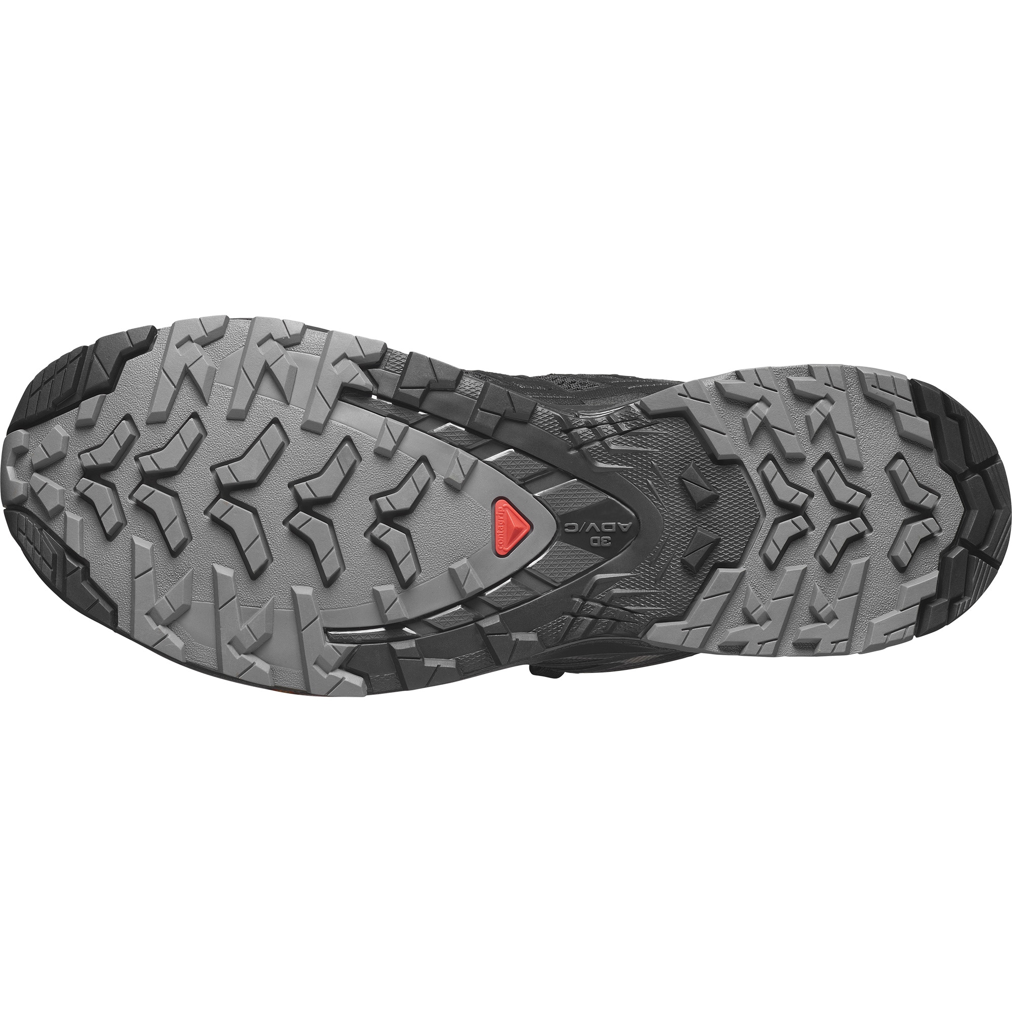 Salomon Trailrunningschuh »XA PRO 3D V9«