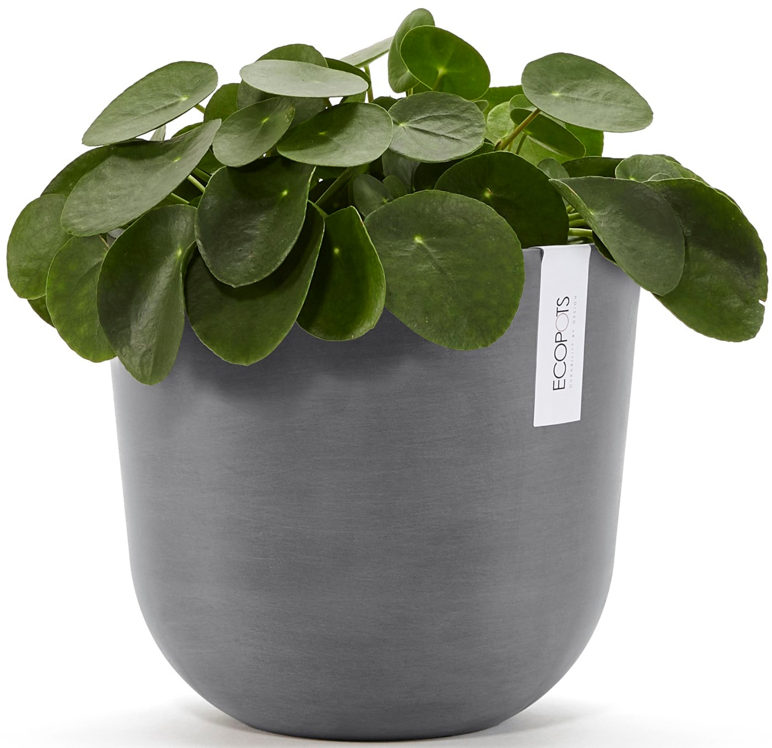 ECOPOTS Blumentopf »Oslo 25 Grau«, für innen und außen: frostsicher, bruchsicher und lichtbeständig