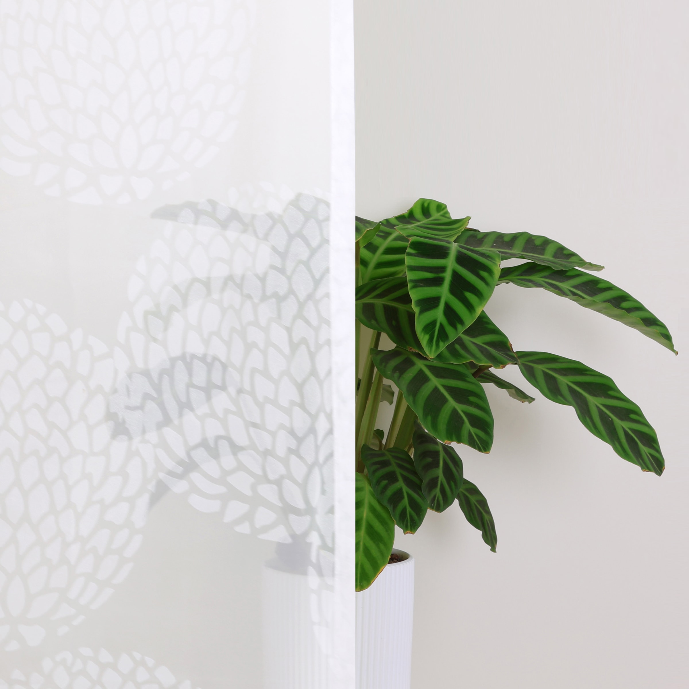 my home Gardine »BELEM«, (1 St.), 1 Schal, Polyester, Kreise