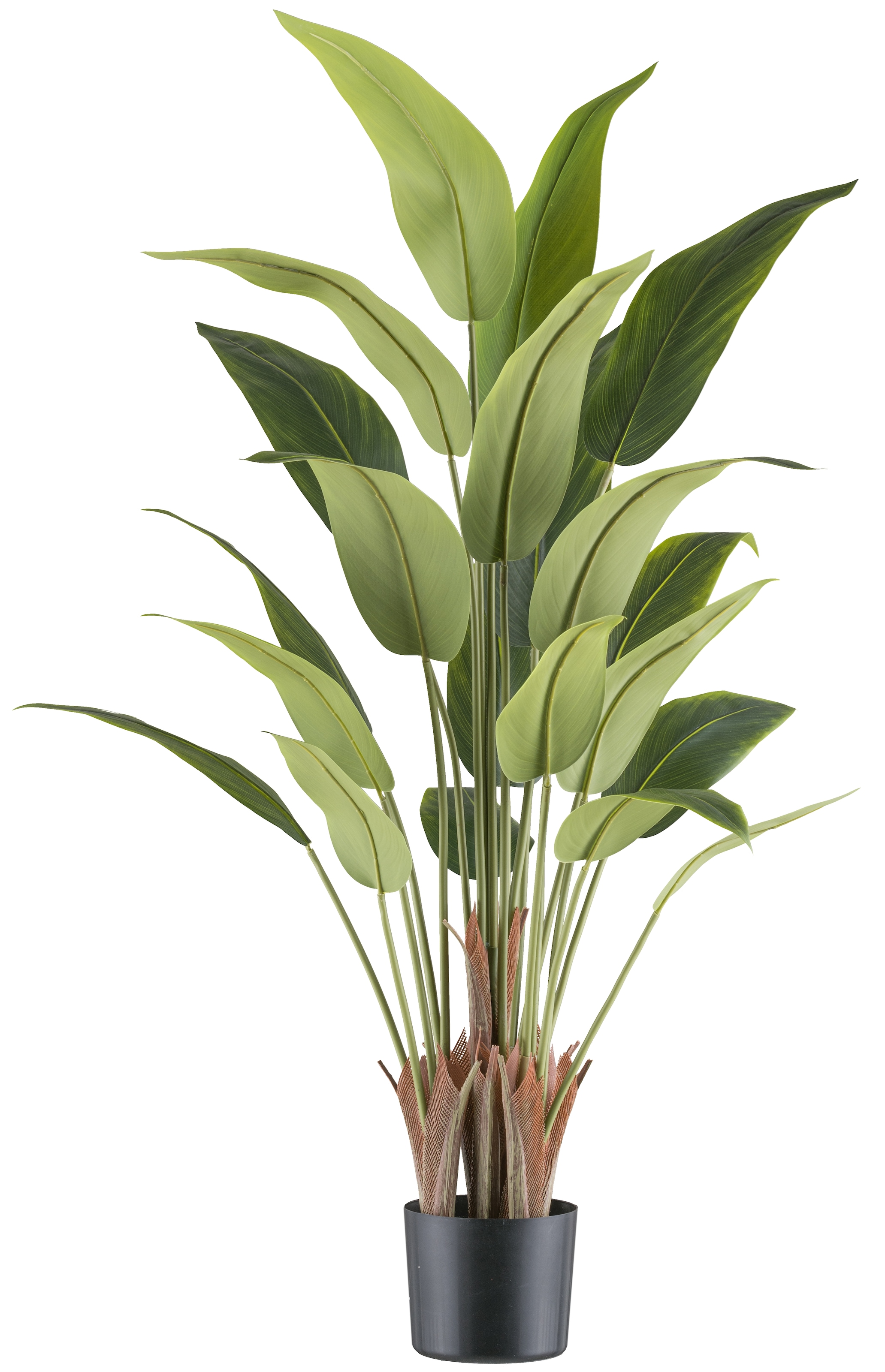 Kunstpflanze »Strelitzia reginae«, mit tollem Blattwerk