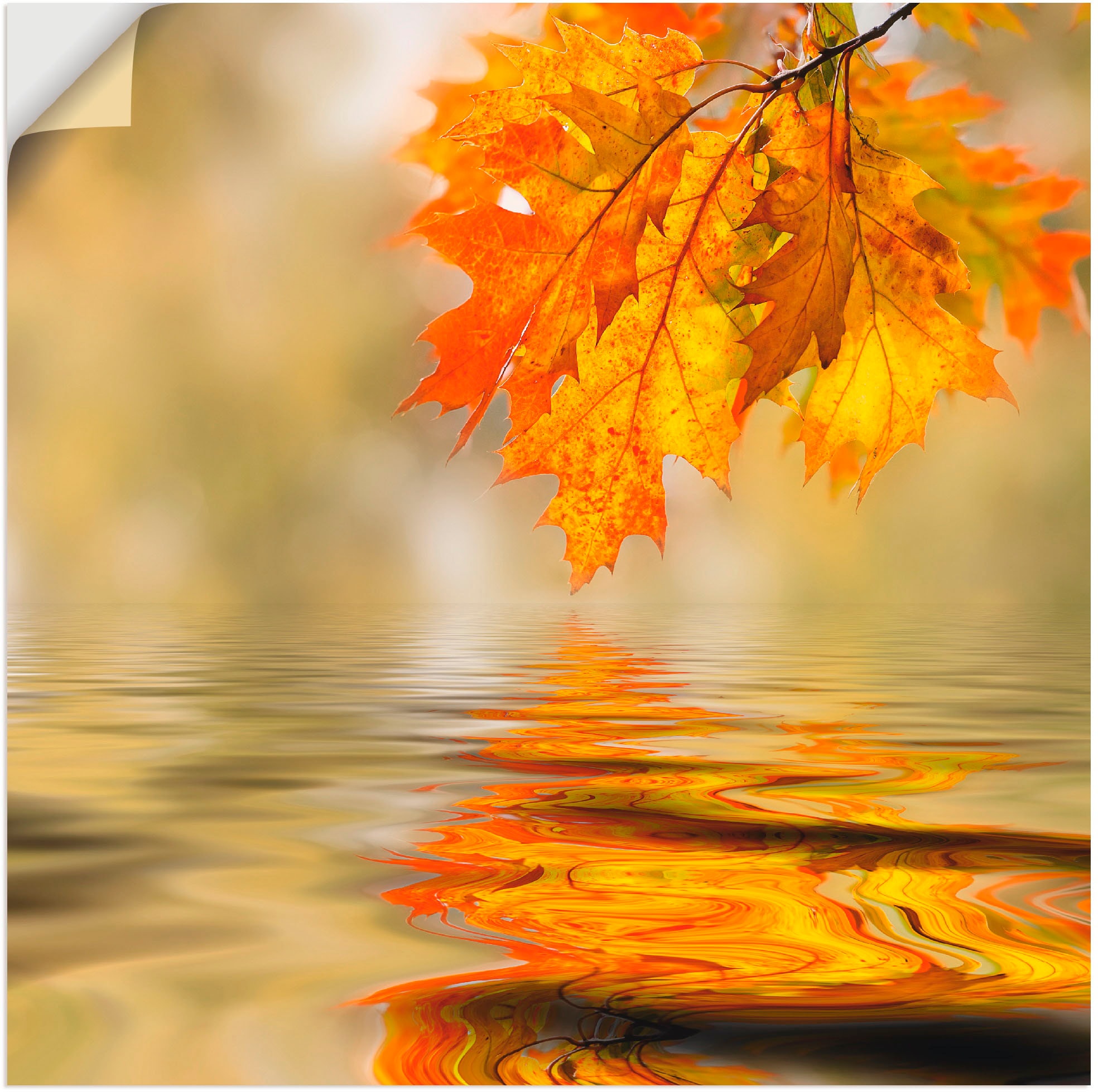 Alubild, Artland Wandbild Größen als in Poster Blätter, kaufen »Herbstblatt«, versch. | (1 oder BAUR Wandaufkleber Leinwandbild, St.),
