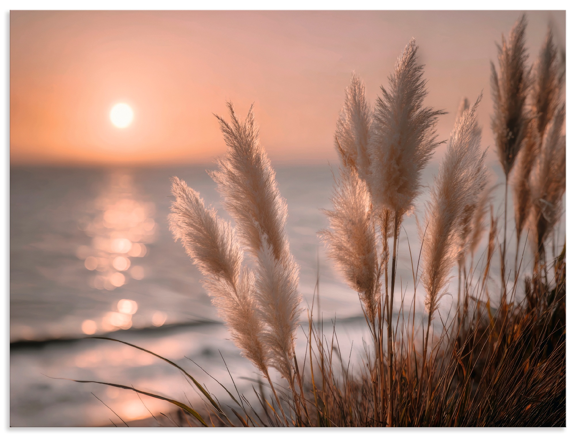 Wandbild ARTLAND, B:60cm H:45cm T:1cmfarbe bild(er): naturfarben, Alu Dibond, Wohnzimmer, Bilder, "Küstenträume im Abendwind", als Alubild,