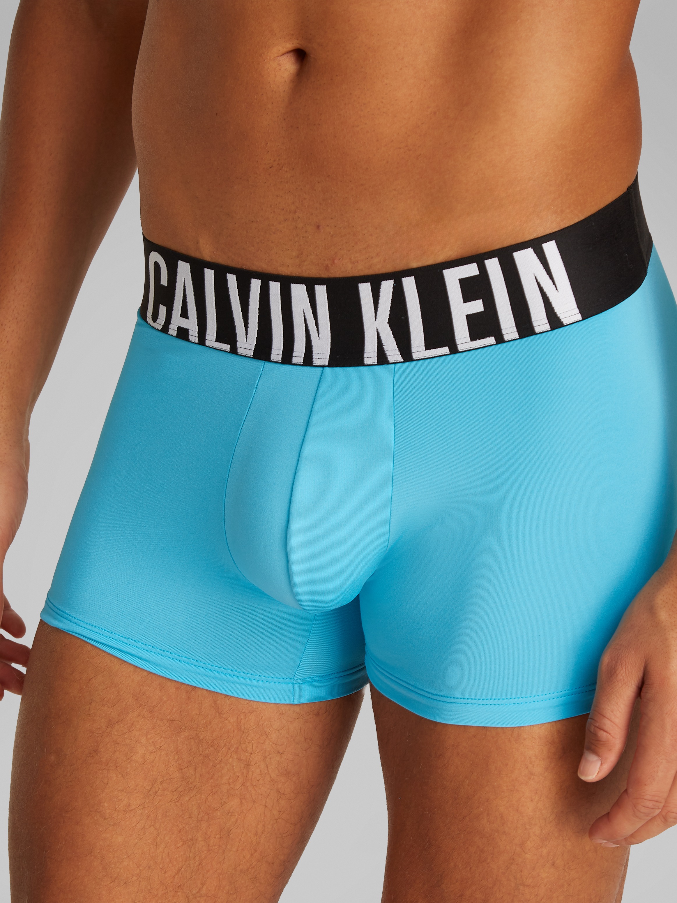 Calvin Klein Underwear Trunk TRUNK 3PK günstig online kaufen