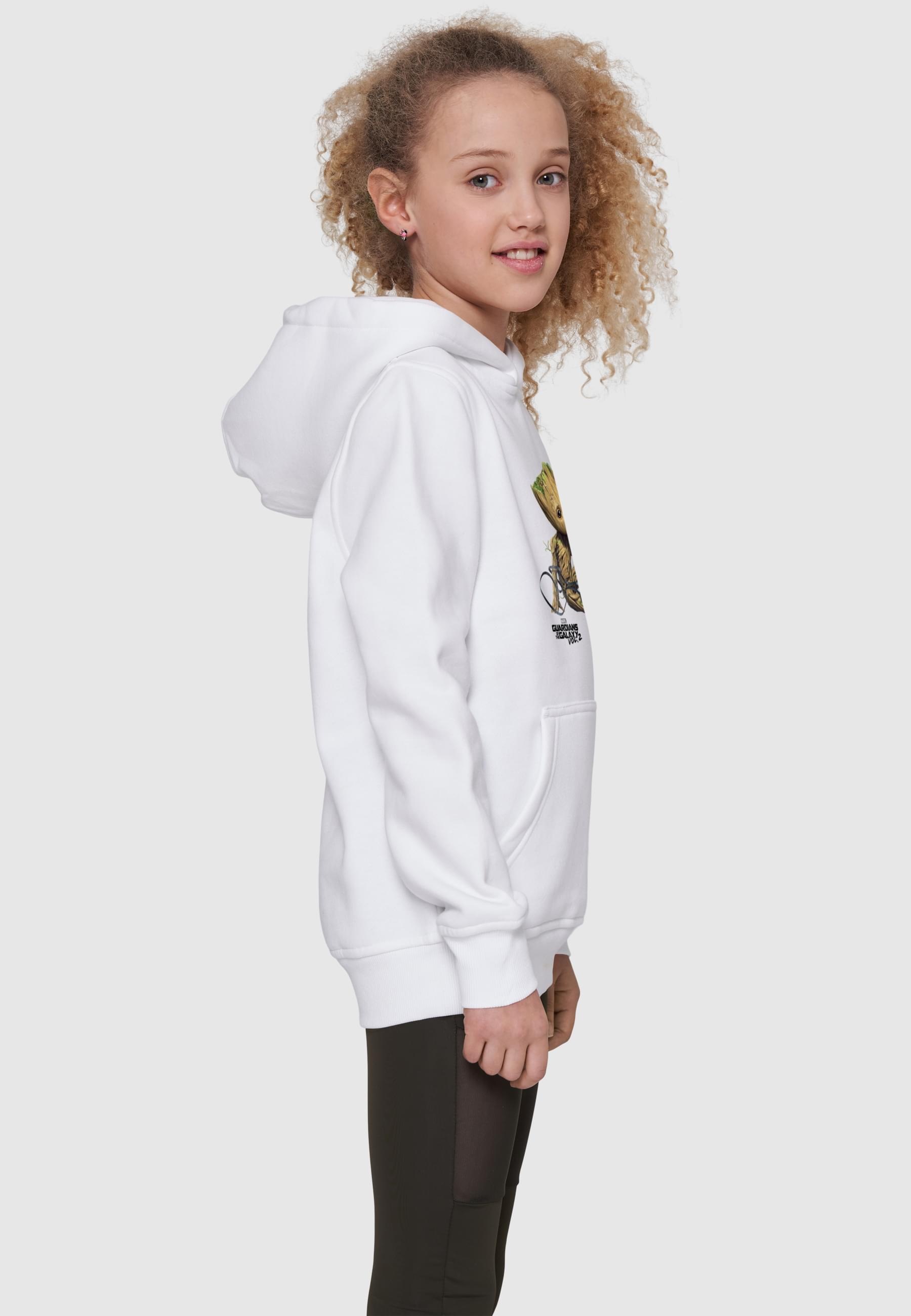 ABSOLUTE CULT Kapuzensweatshirt »ABSOLUTE CULT Herren«, (1 tlg.)