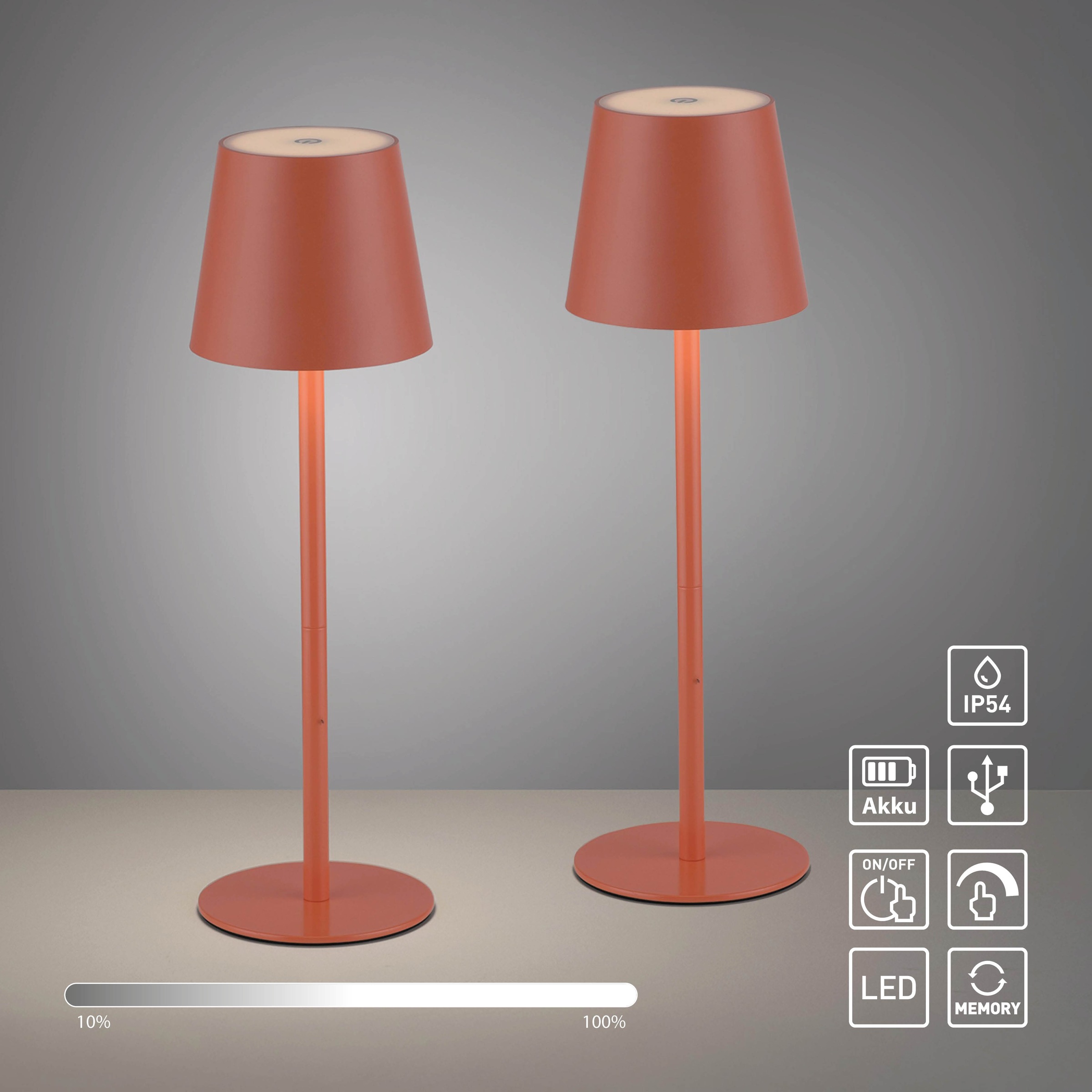 JUST LIGHT LED Tischleuchte »EURIA, 2er Set« LED-Board 2 Stk. Warmweiß LED Akku Tischlampe