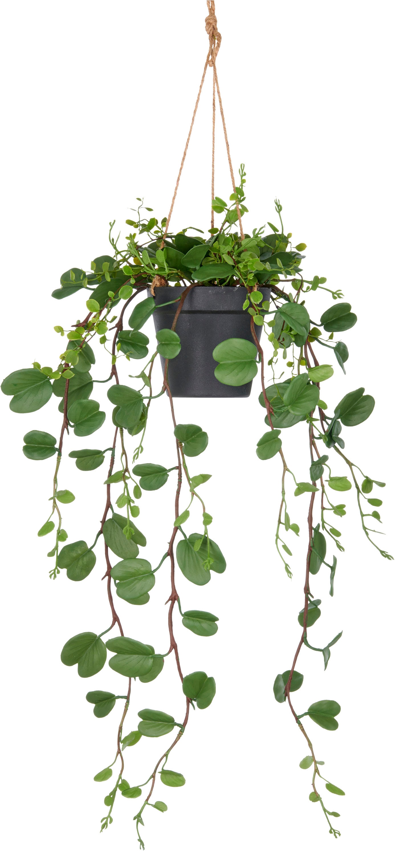Creativ green Kunstpflanze "Bauhinia", mit detailgetreuen Blattranken günstig online kaufen