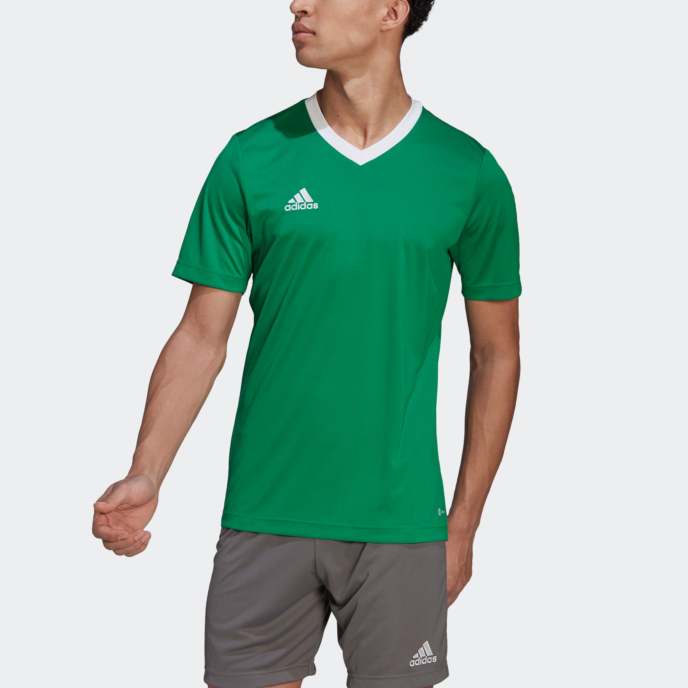 adidas Performance Fußballtrikot »ENT22 JSY«