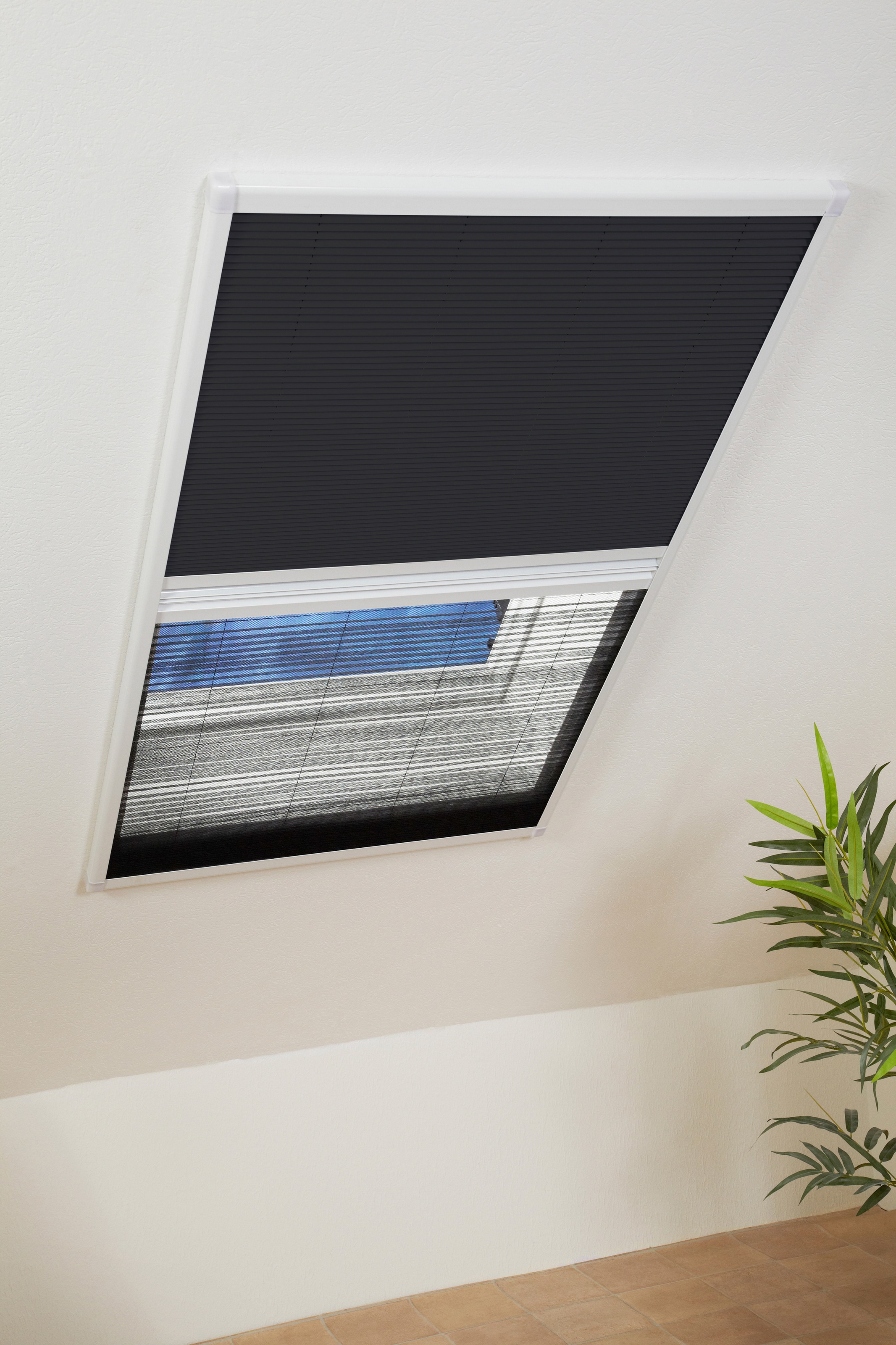 »für international Dachfenster«, Insektenschutzrollo hecht BAUR weiß/schwarz, BxH: 110x160 cm | transparent, kaufen