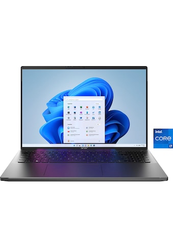 Acer Notebook »Swift Go SFG16-71-78CN« 4064...