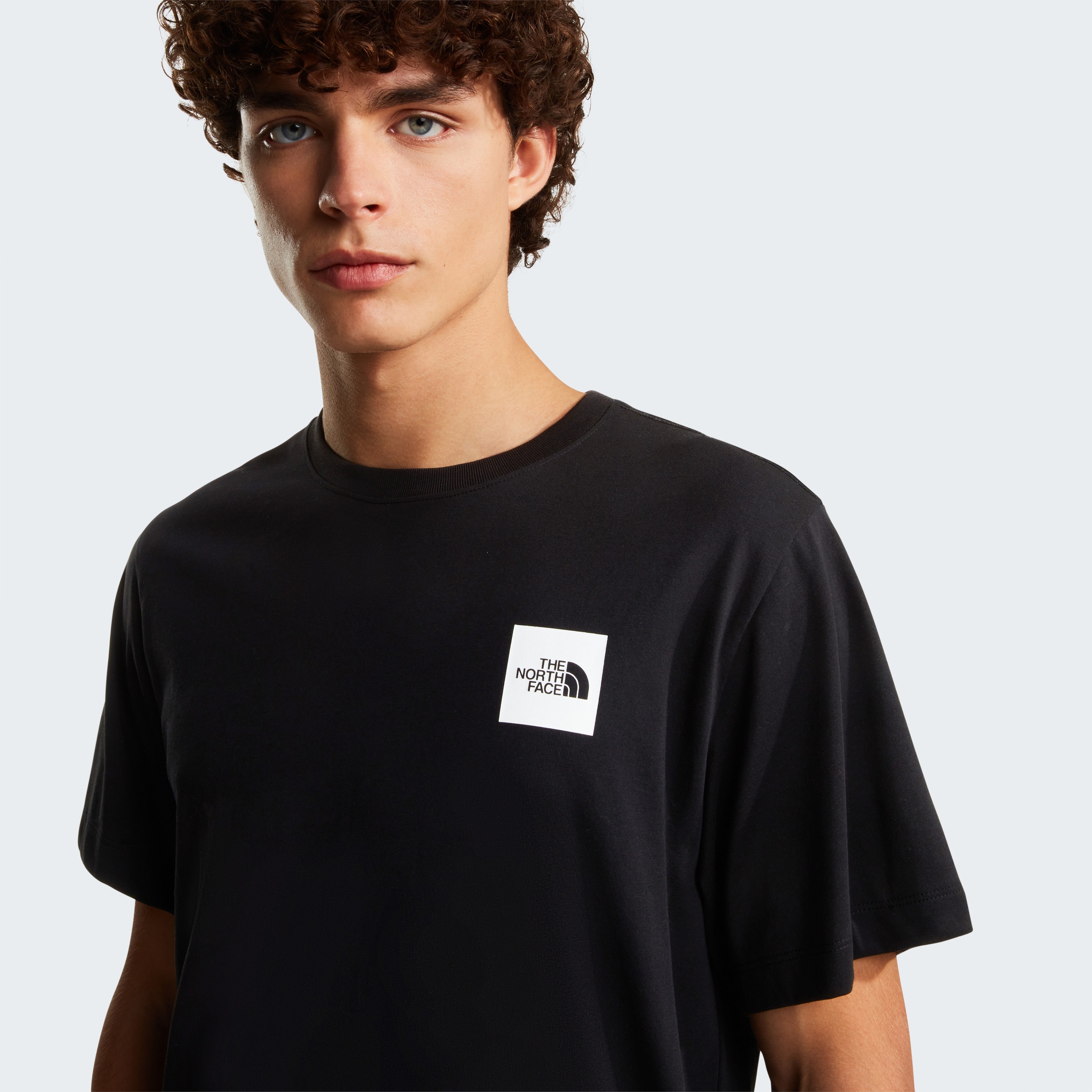 The North Face Evolution Box Half Dome T-Shirt Black S 3