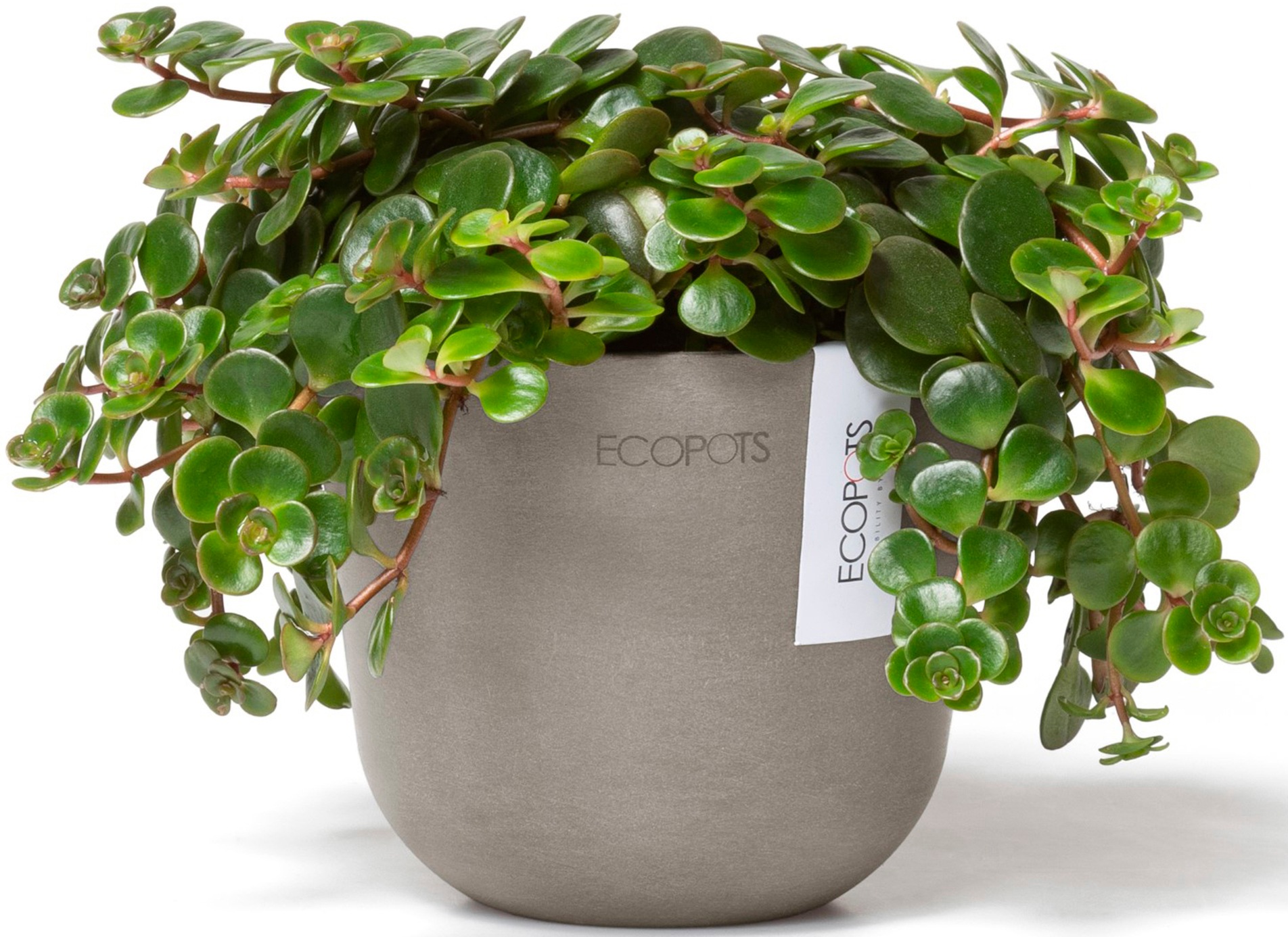 ECOPOTS Blumentopf »Oslo Mini 11,5 Taupe«, für den Innenbereich