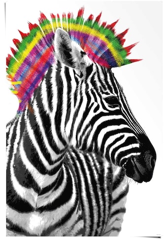 Reinders! Poster »Zebra Punk« (1 St.)
