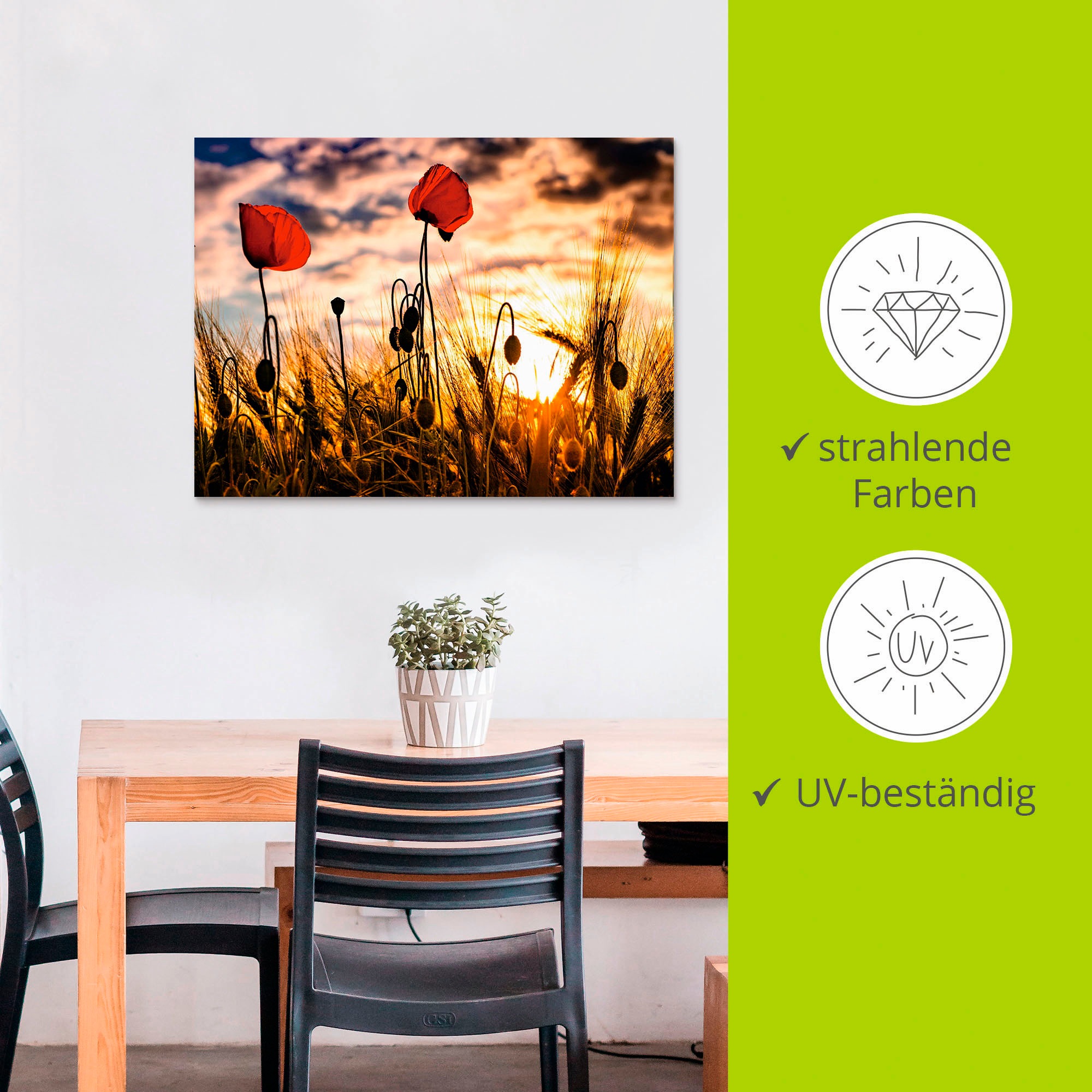 Artland Wandbild »Mohnblumen im Sonnenuntergang«, Blumen, (1 St.), als Alubild, Outdoorbild, Leinwandbild, Poster, Wandaufkleber