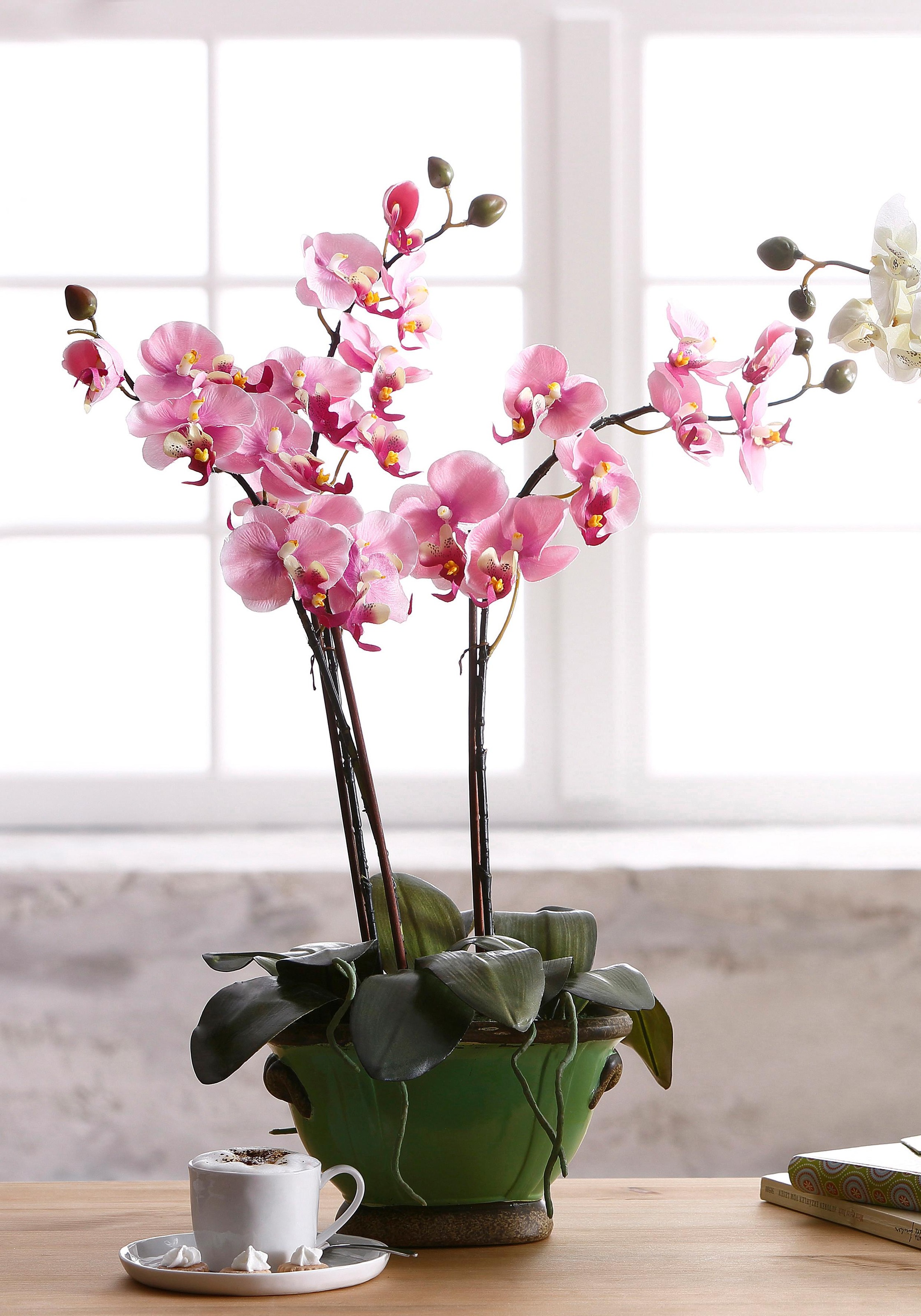 I.GE.A. Friday Kunstpflanze »Orchidee« | BAUR Black
