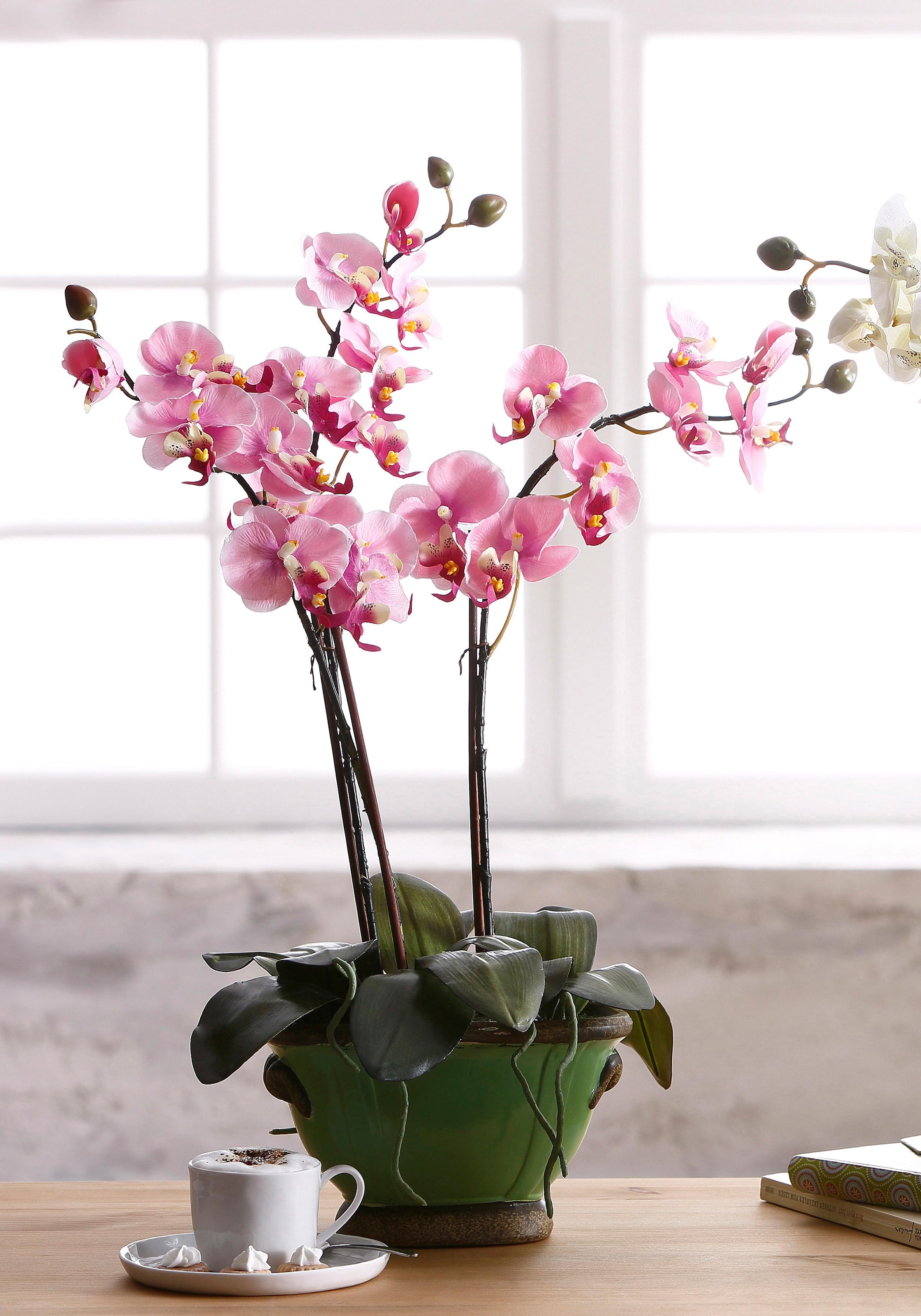 Black Friday I.GE.A. Kunstpflanze »Orchidee« | BAUR