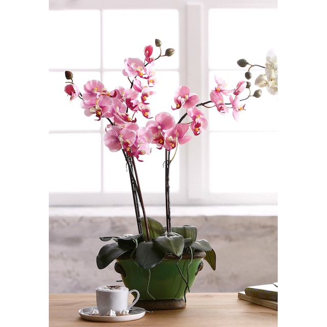 Black Friday I.GE.A. Kunstpflanze »Orchidee« | BAUR