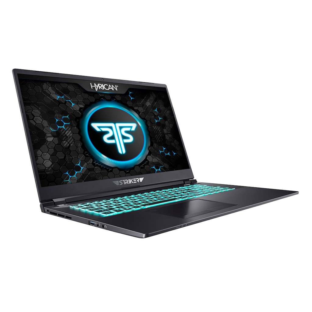 Hyrican Gaming-Notebook »Striker 1675«, 43,94 cm, / 17,3 Zoll, Intel, Core i7, GeForce RTX 3080, 2000 GB SSD