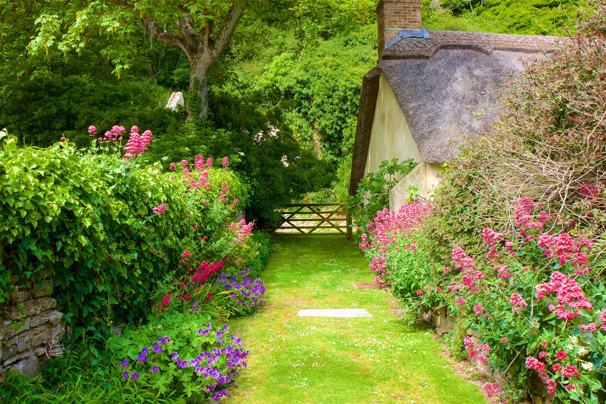 Papermoon Fototapete "GARTEN-BLUMEN BÄUME PFLANZEN STEINE WALD PERGOLA BLÜTEN"
