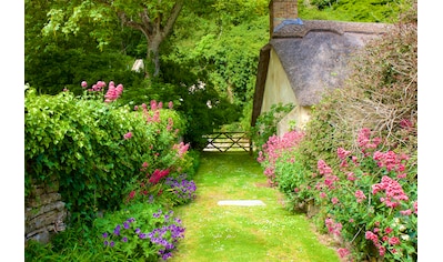 Fototapete »GARTEN-BLUMEN BÄUME PFLANZEN STEINE WALD PERGOLA BLÜTEN«