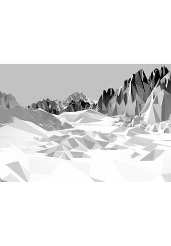 Komar Fototapetas »Icefields« 368x254 cm (Br...